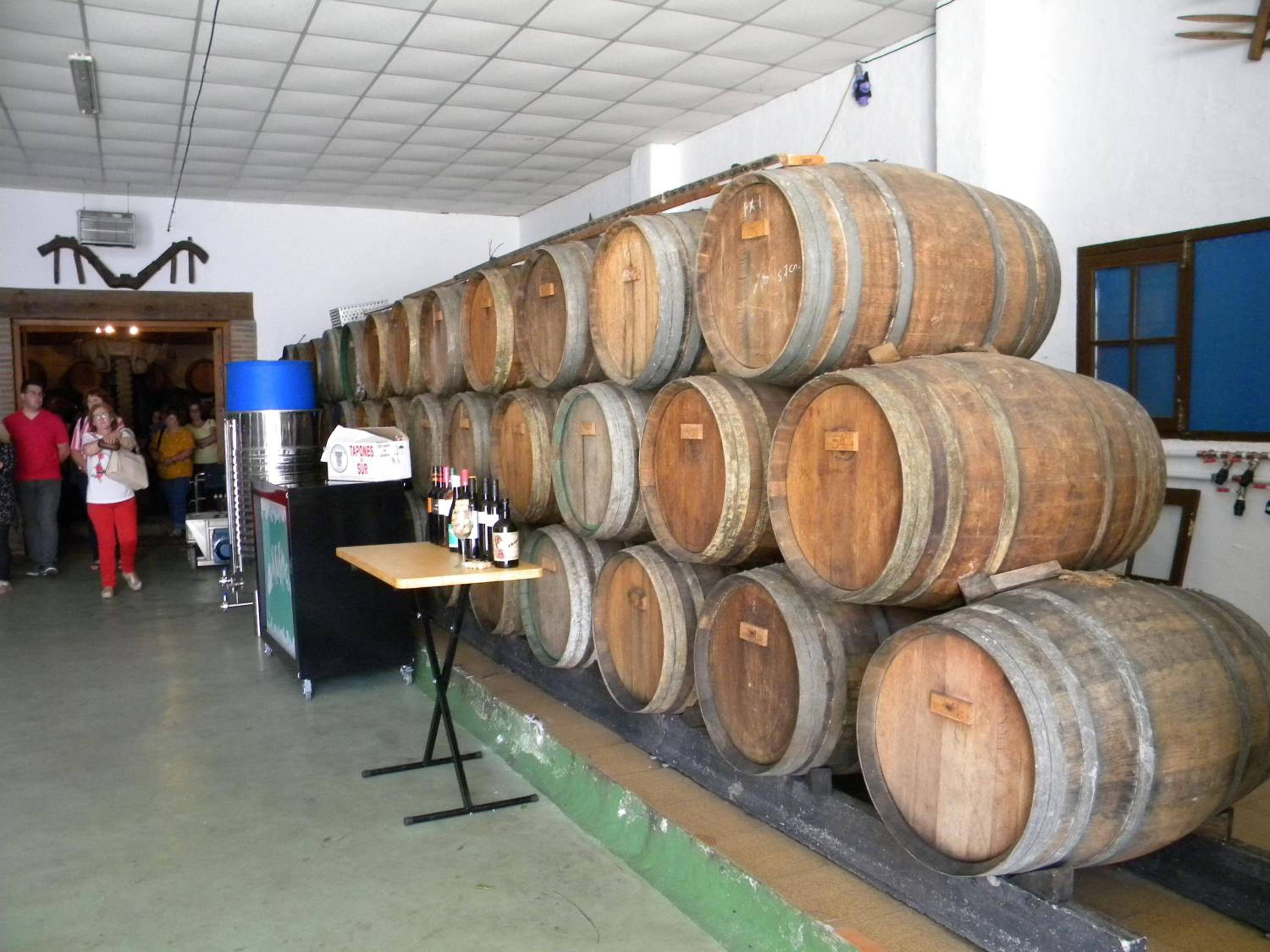 Moclinejo House