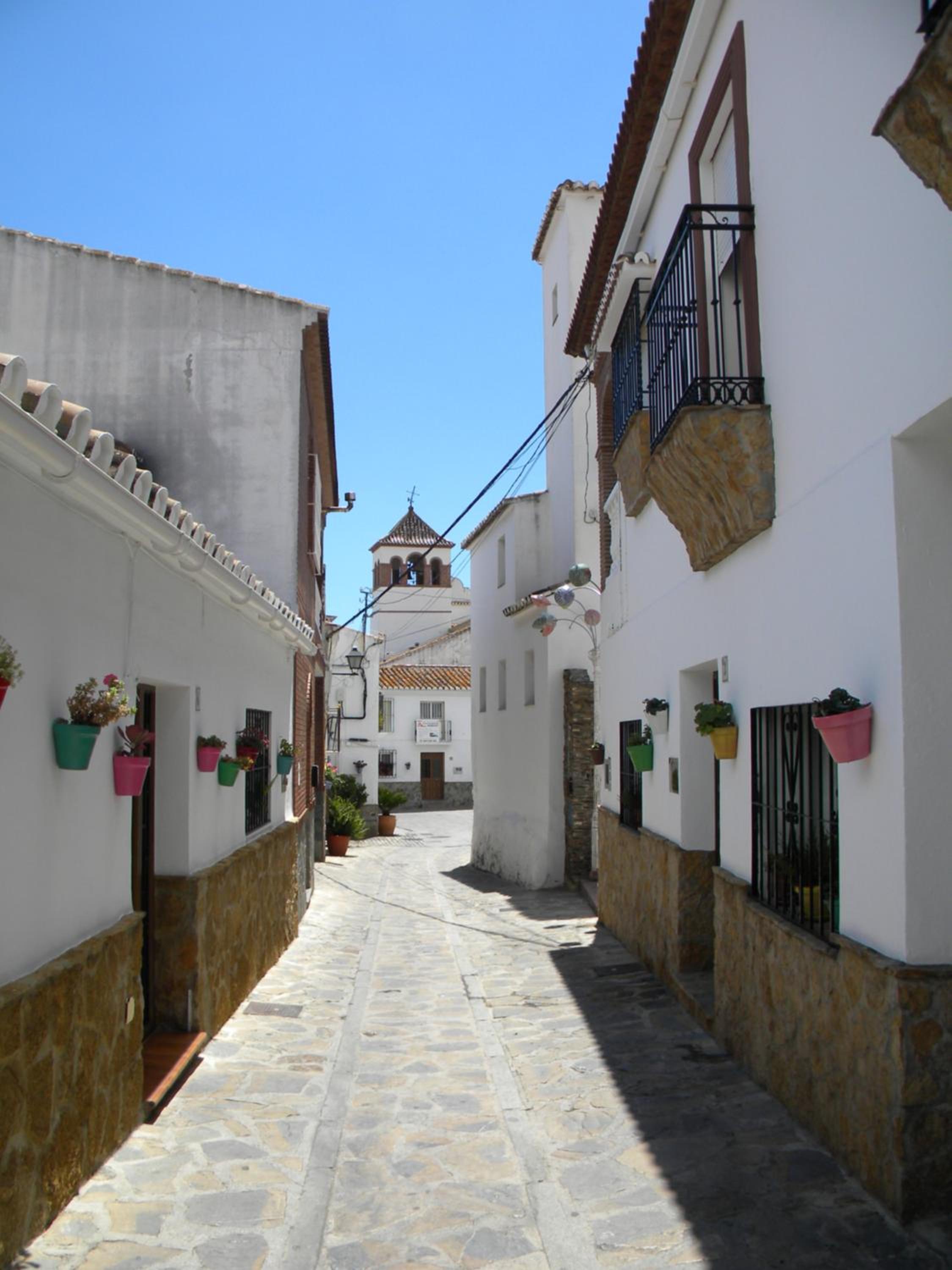 Moclinejo House