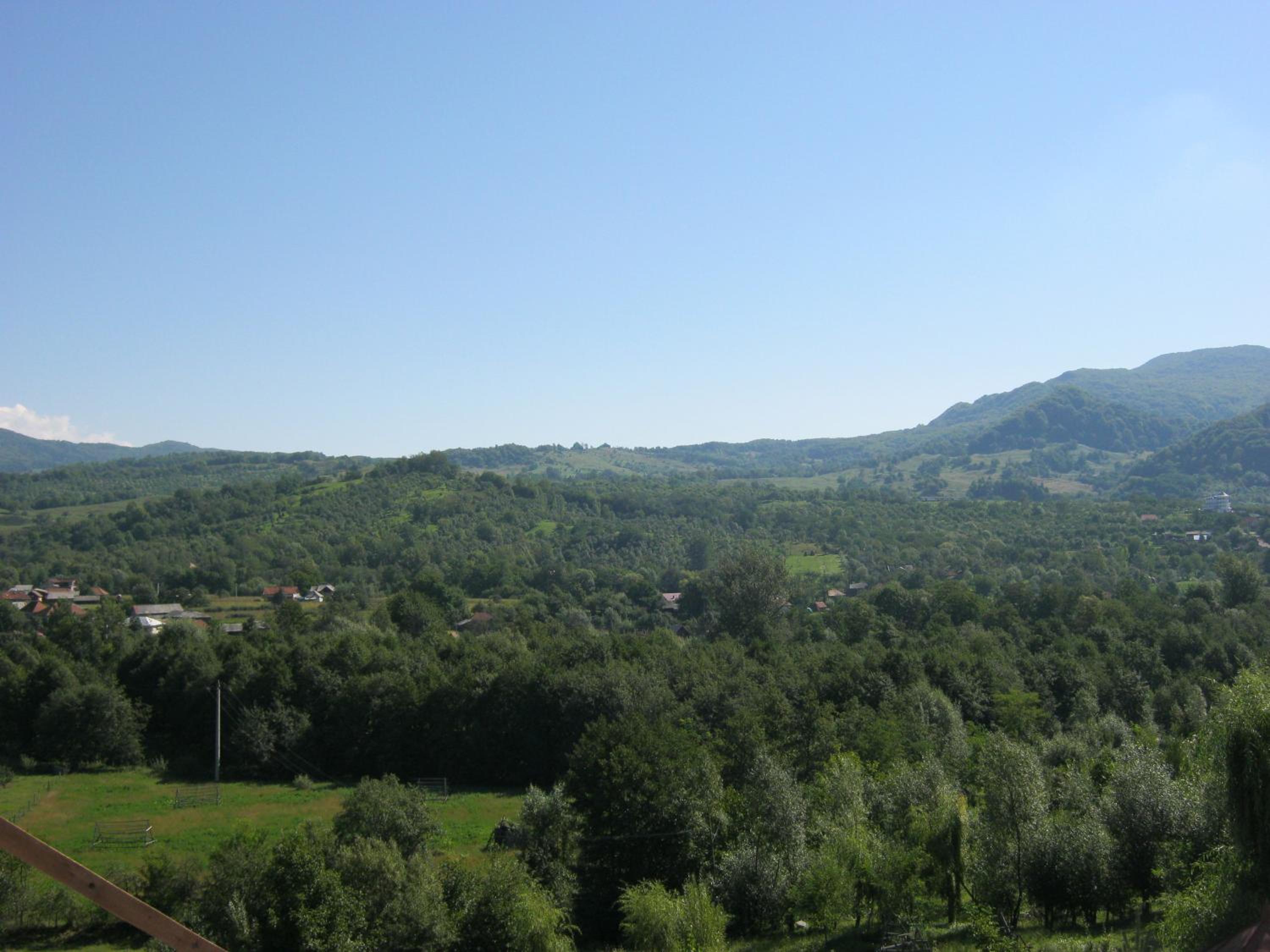 Belvedere