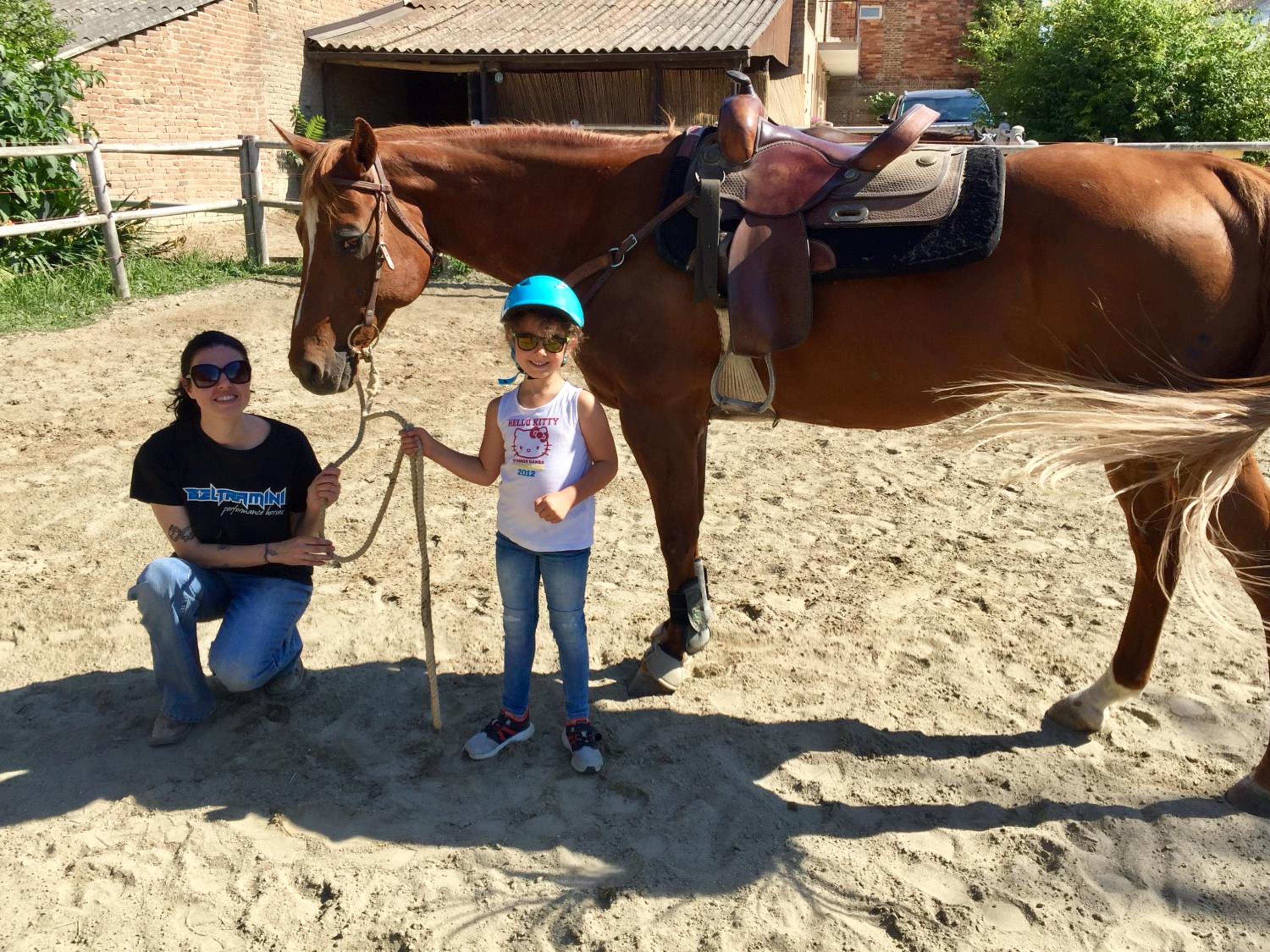 Felix House - Property Image 110