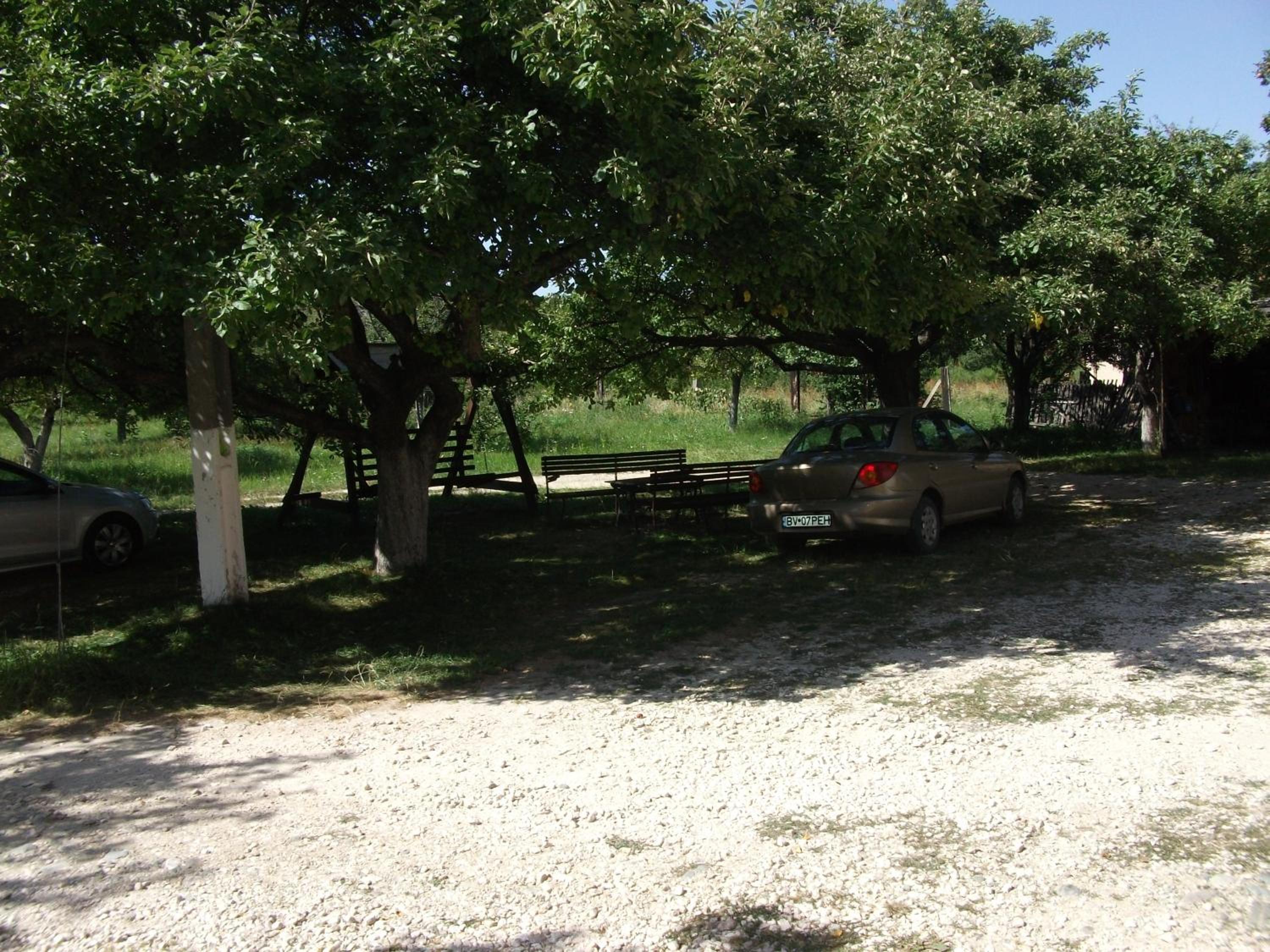 Photo 27