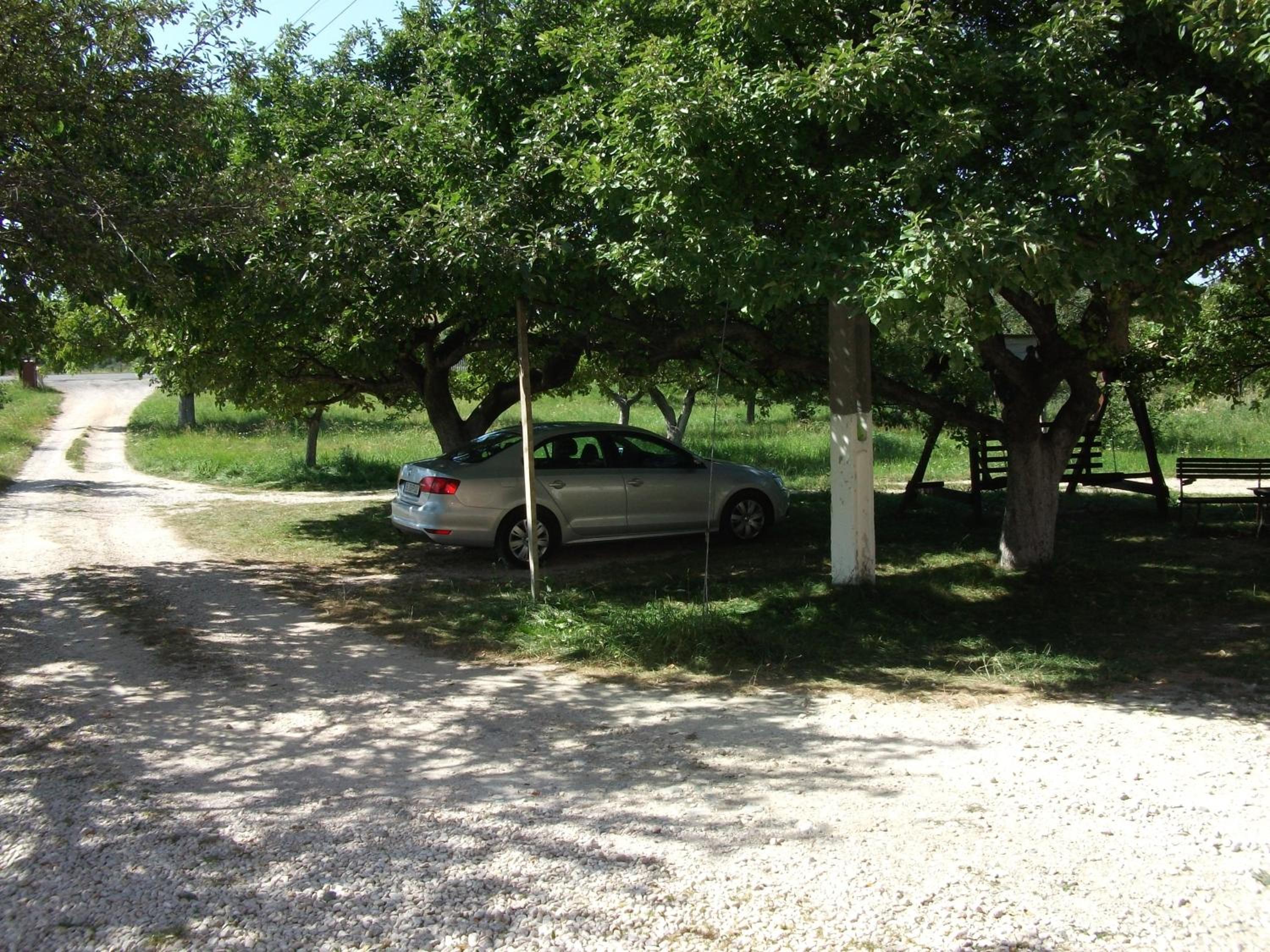 Photo 28