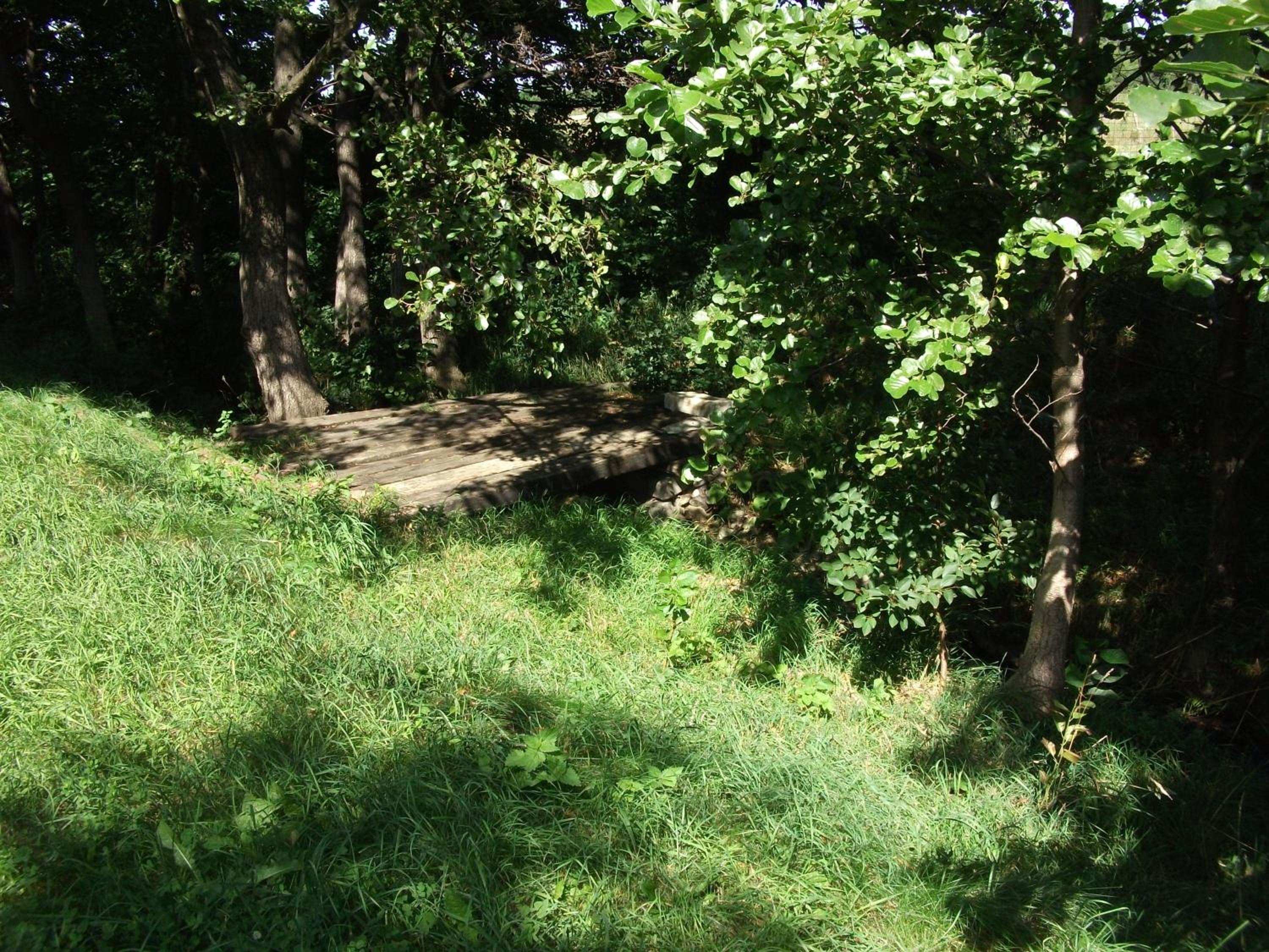 Photo 29