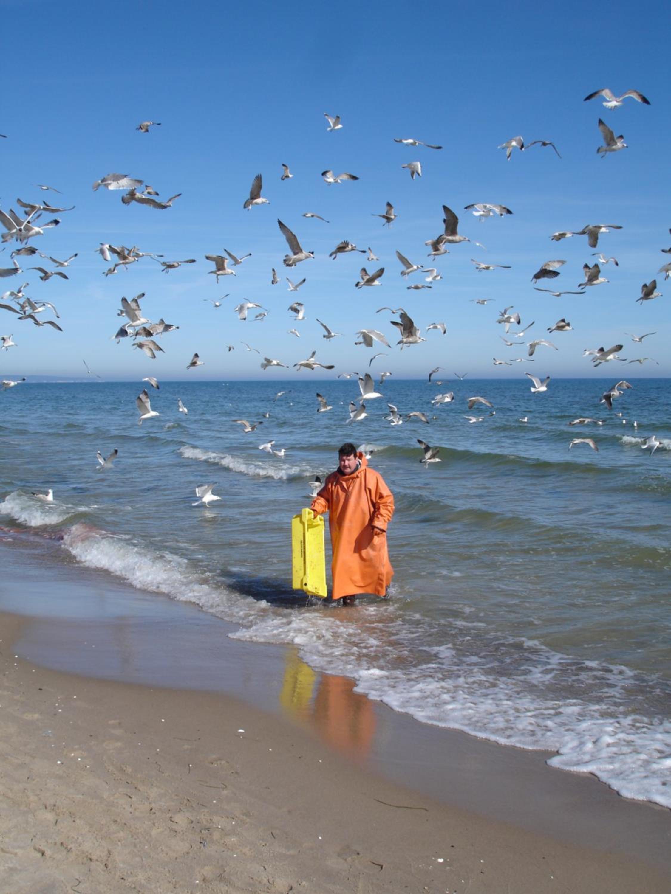 Strandhaus Deichkrone