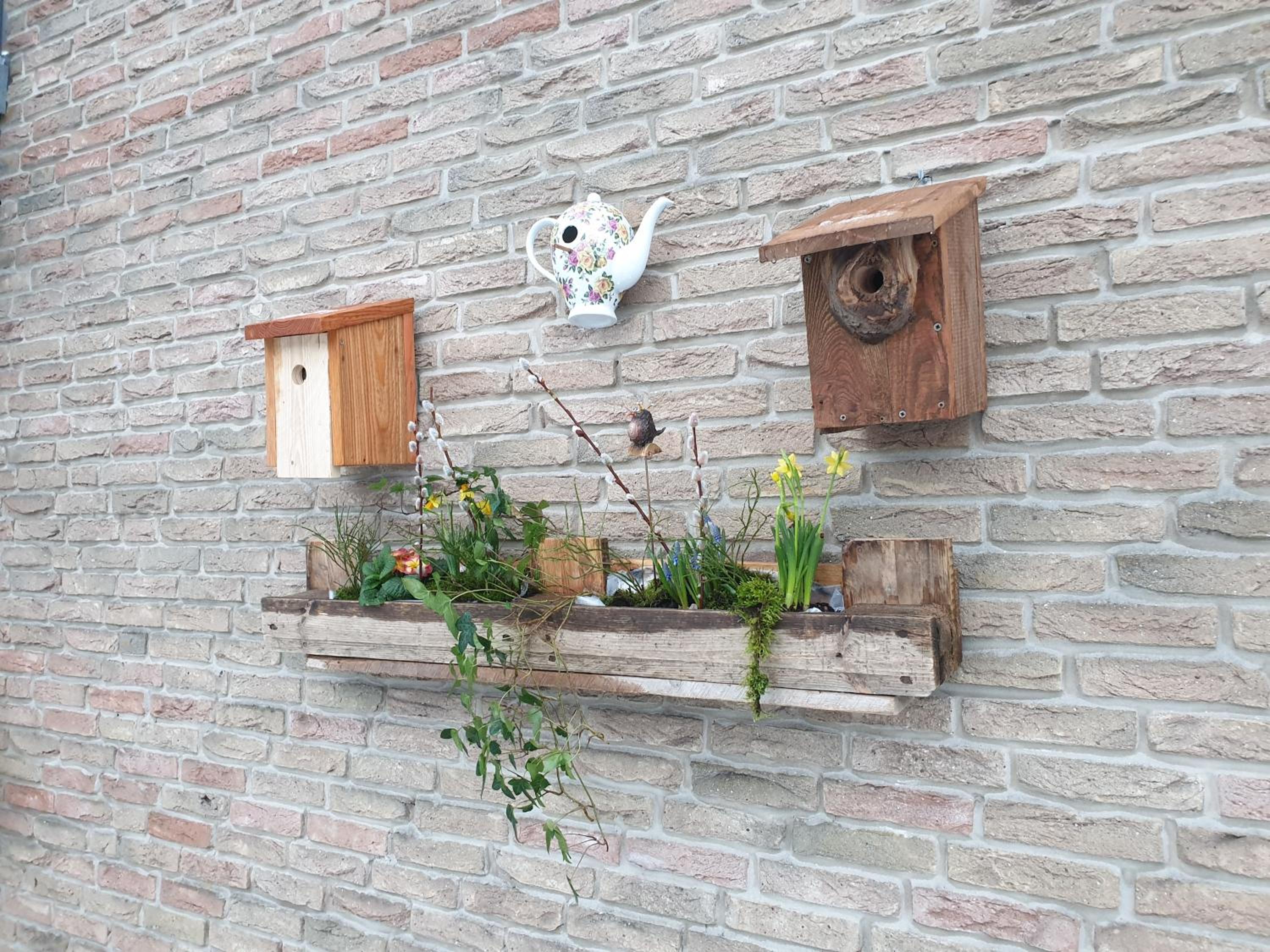 Ferienwohnung Vogelvilla - Property Image 11