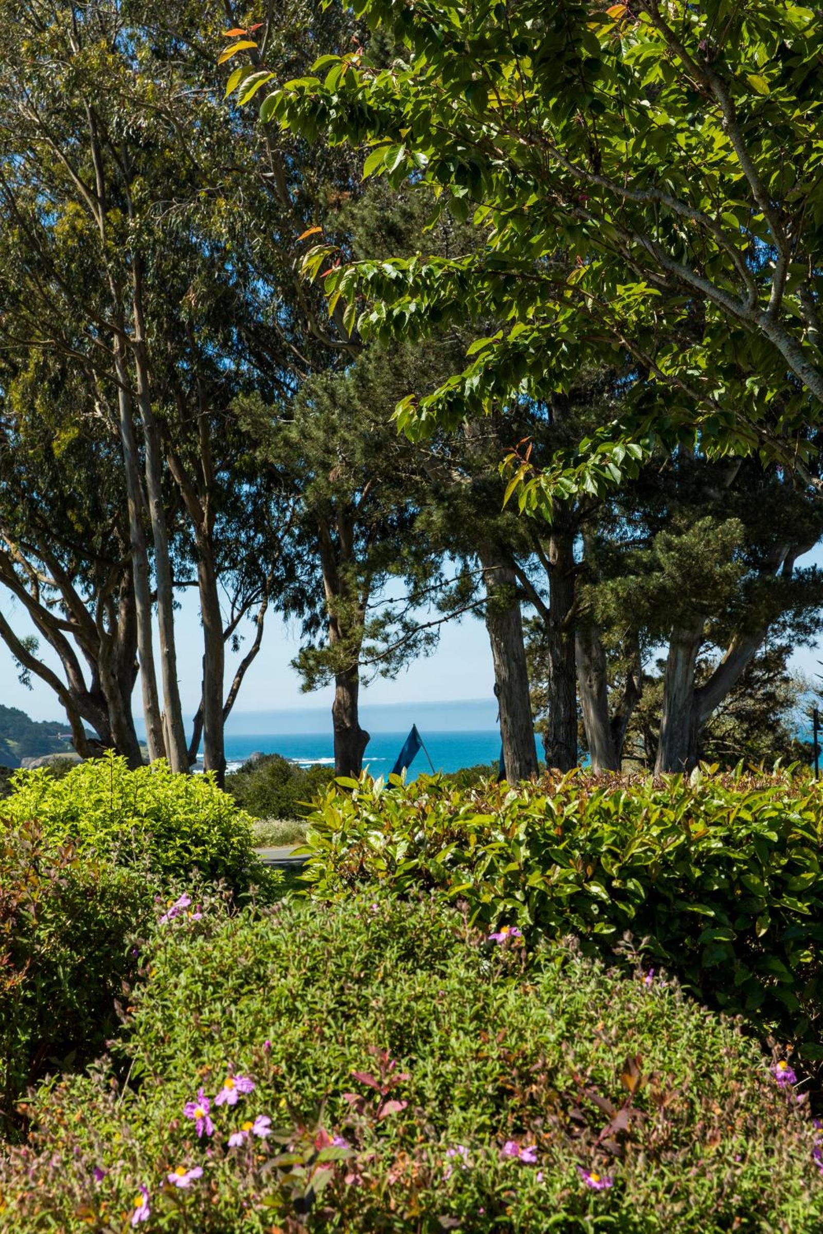 Headlands Inn Bed and Breakfast