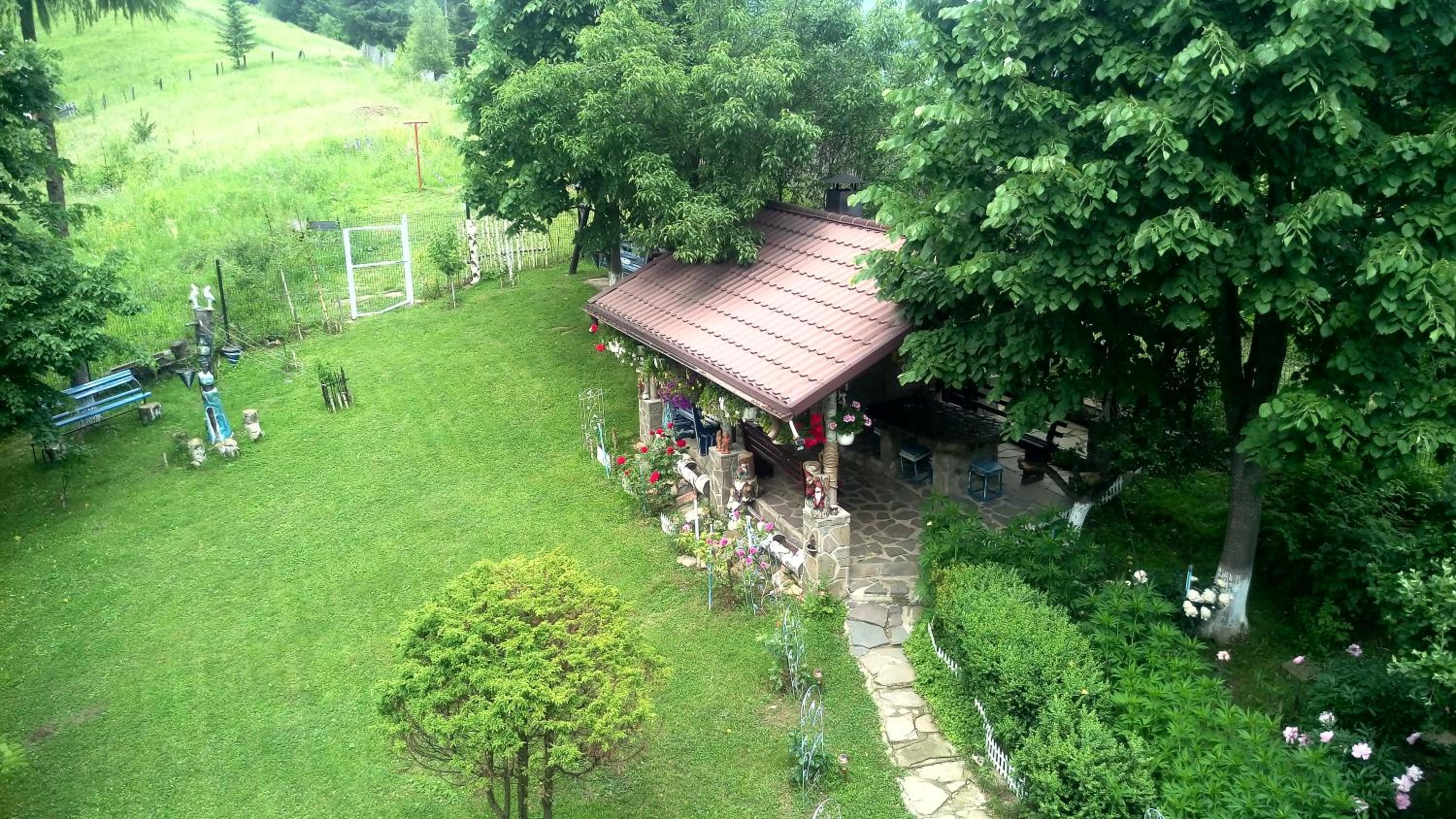 Photo 38