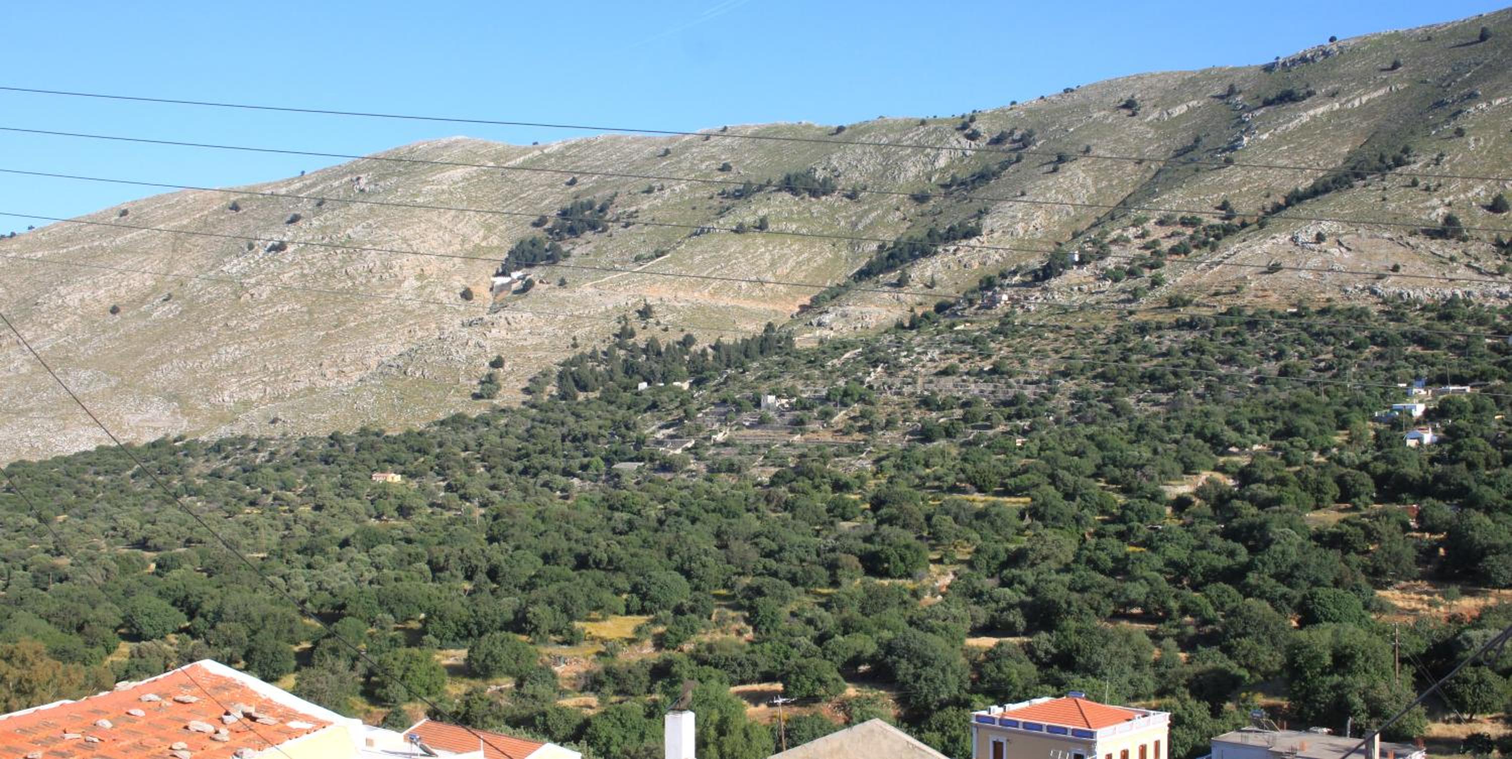 EVANNA HOUSE photo 4