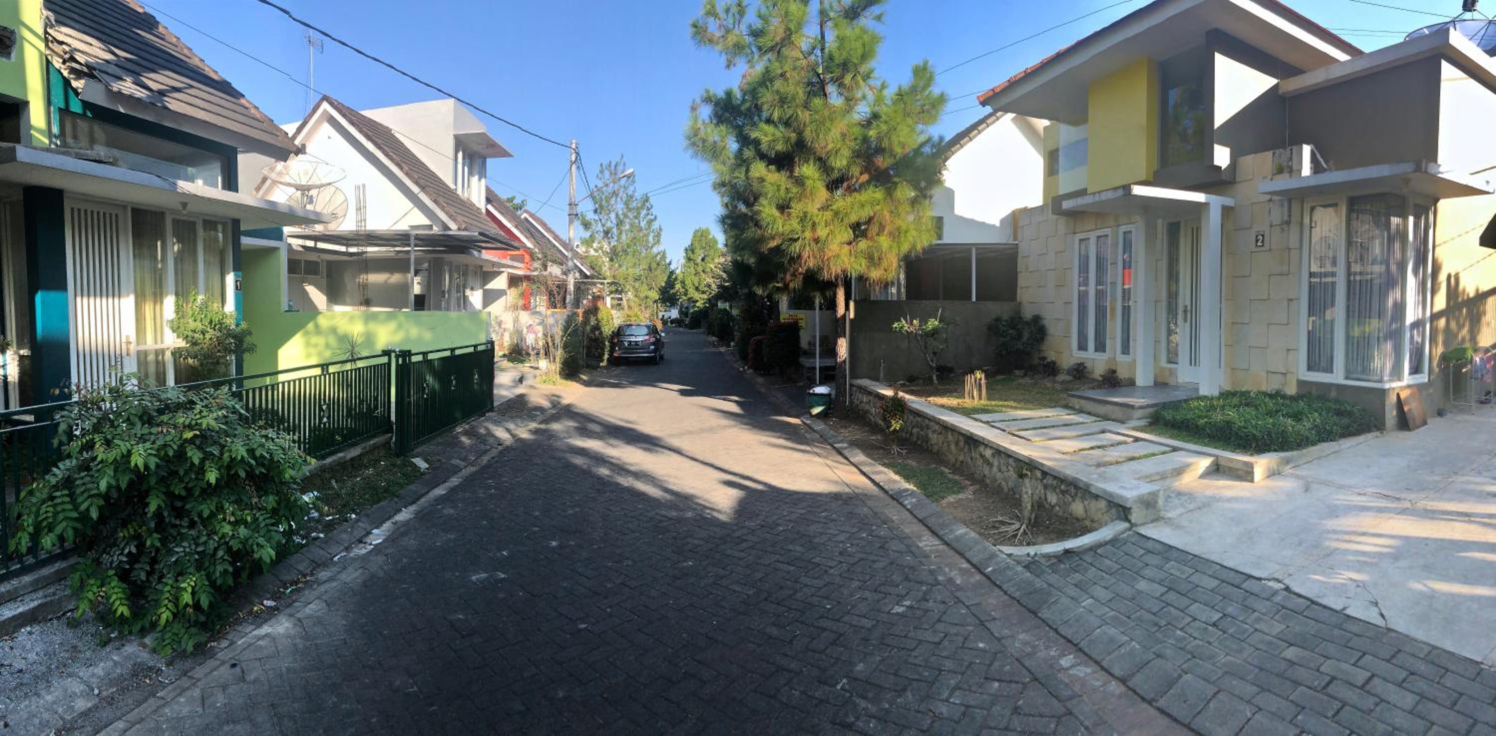 Photo 21