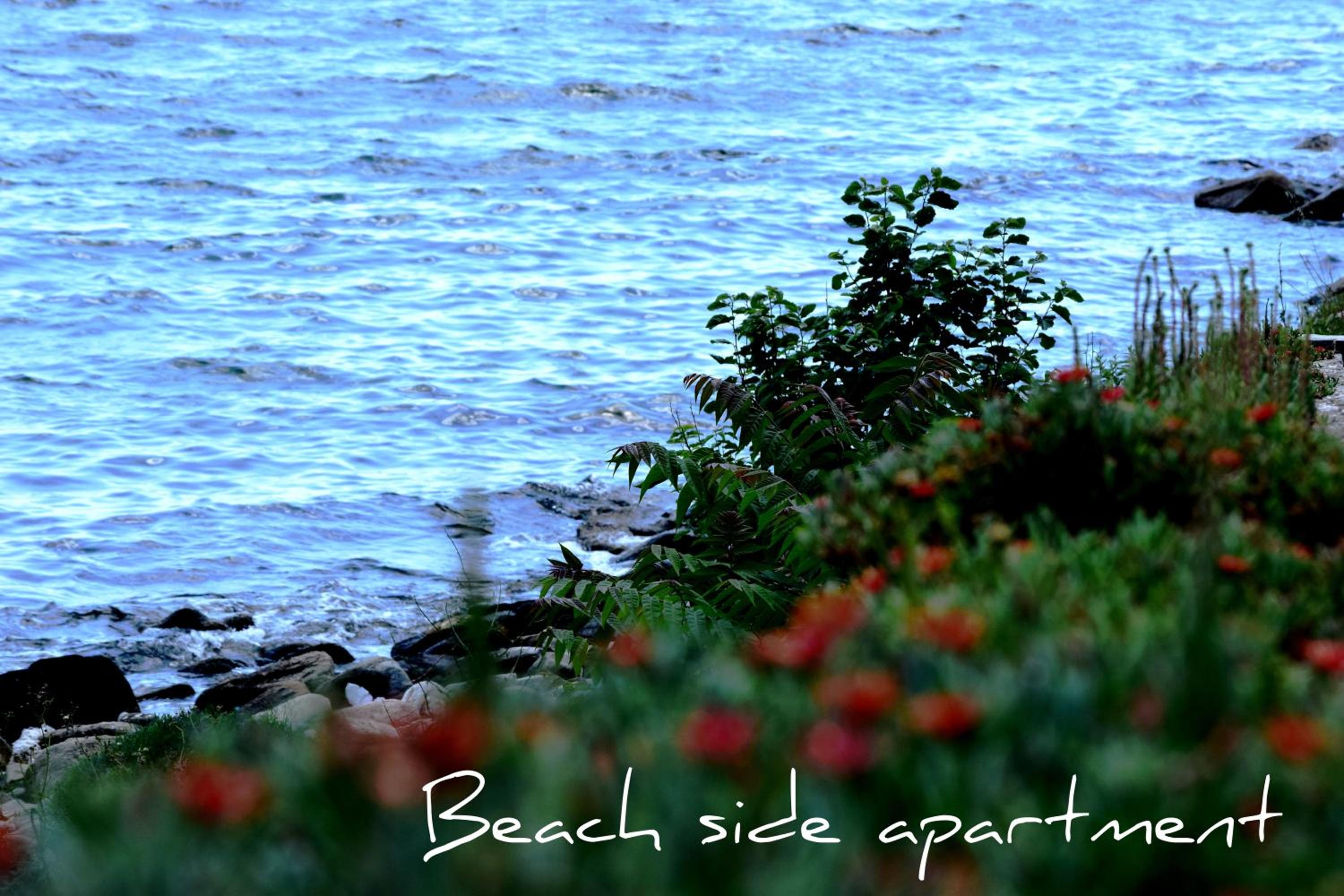 Beach Side Apart II view 4