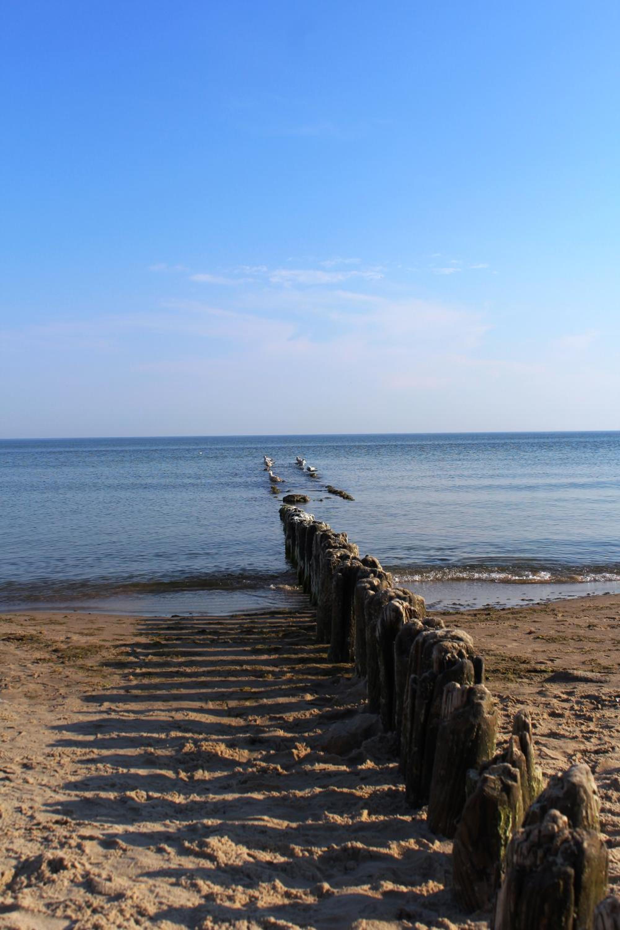 Photo 42