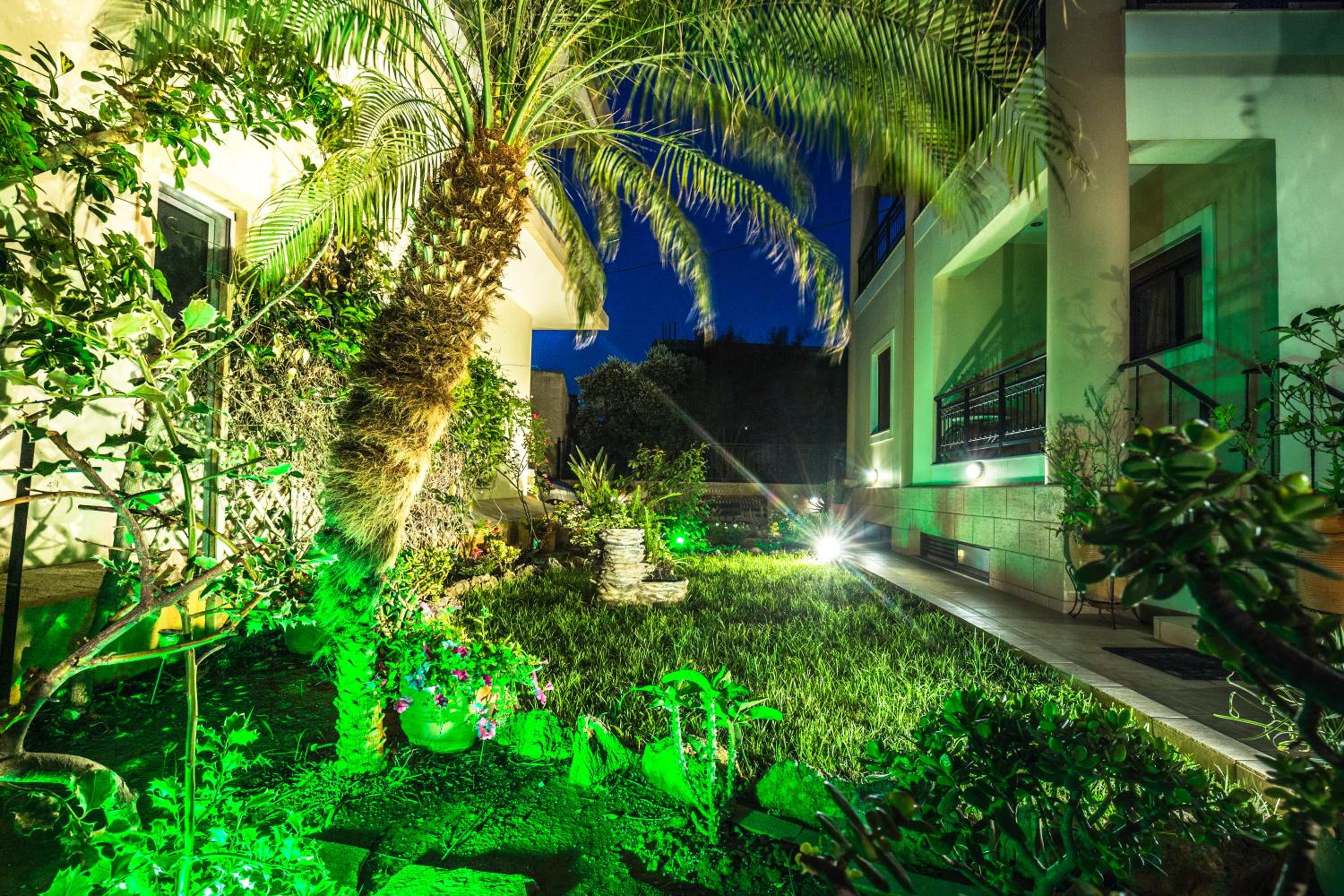 garden