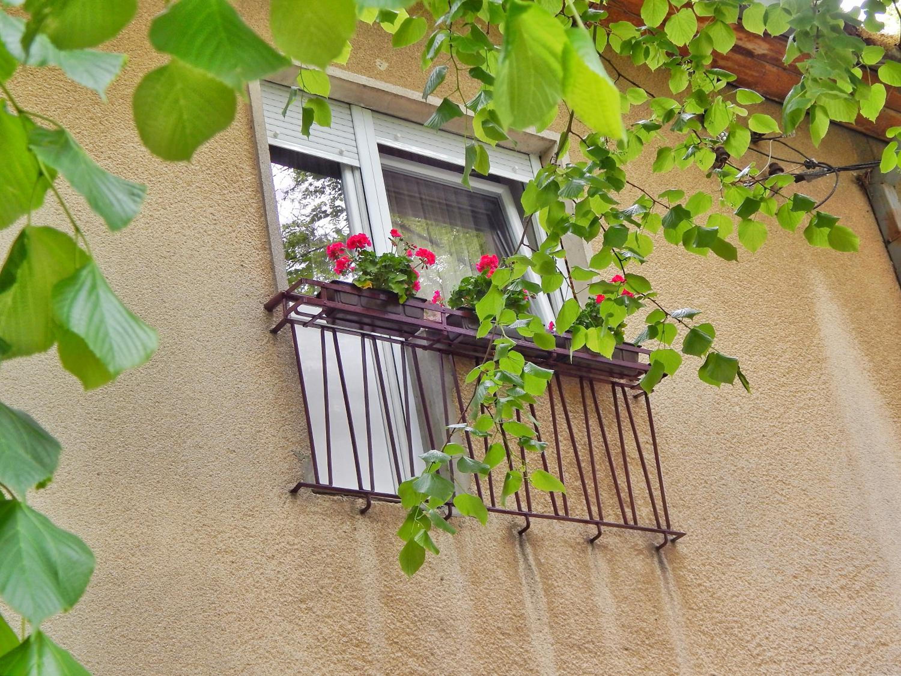 Apartman Centar view 2