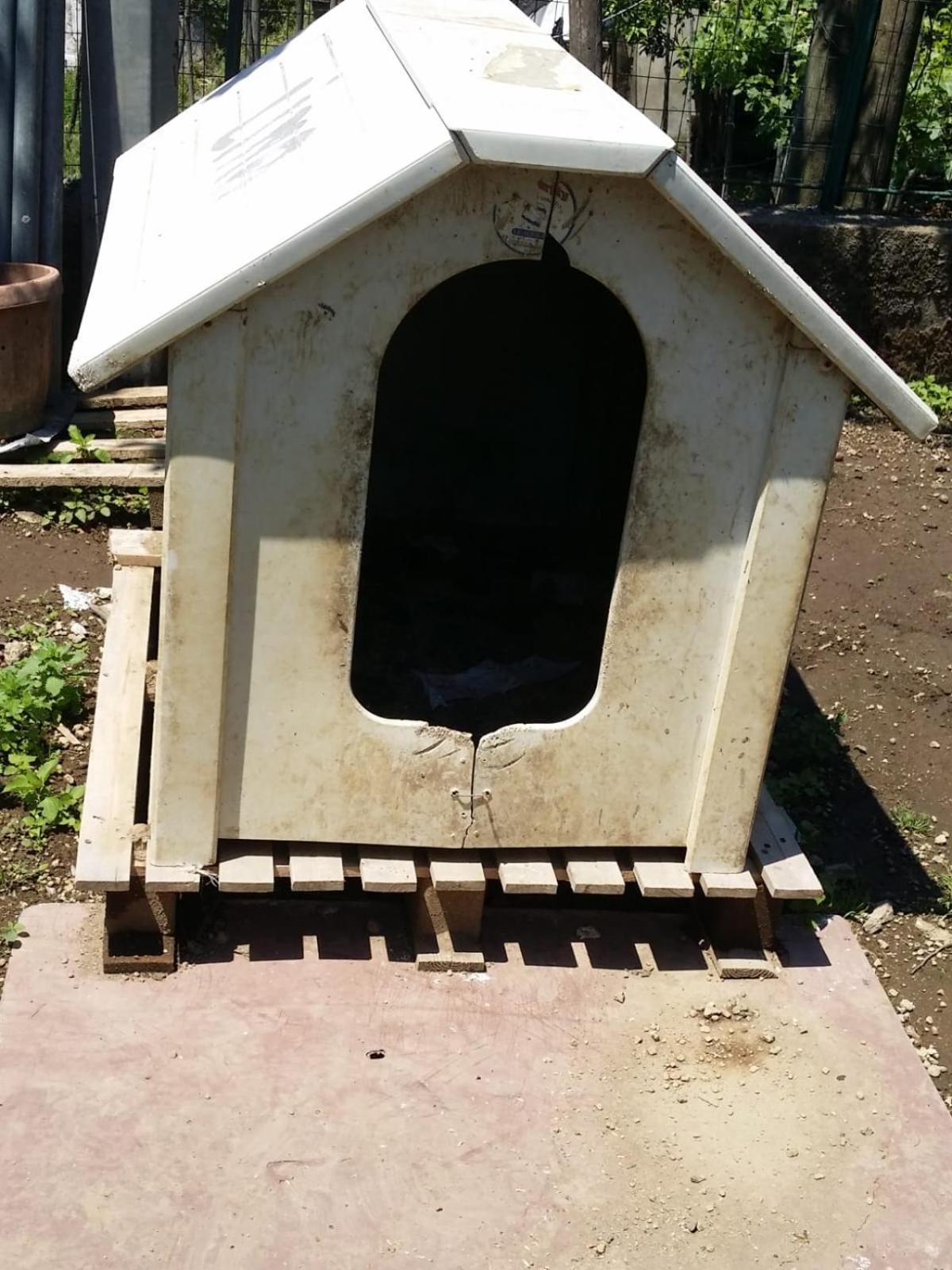Photo 42