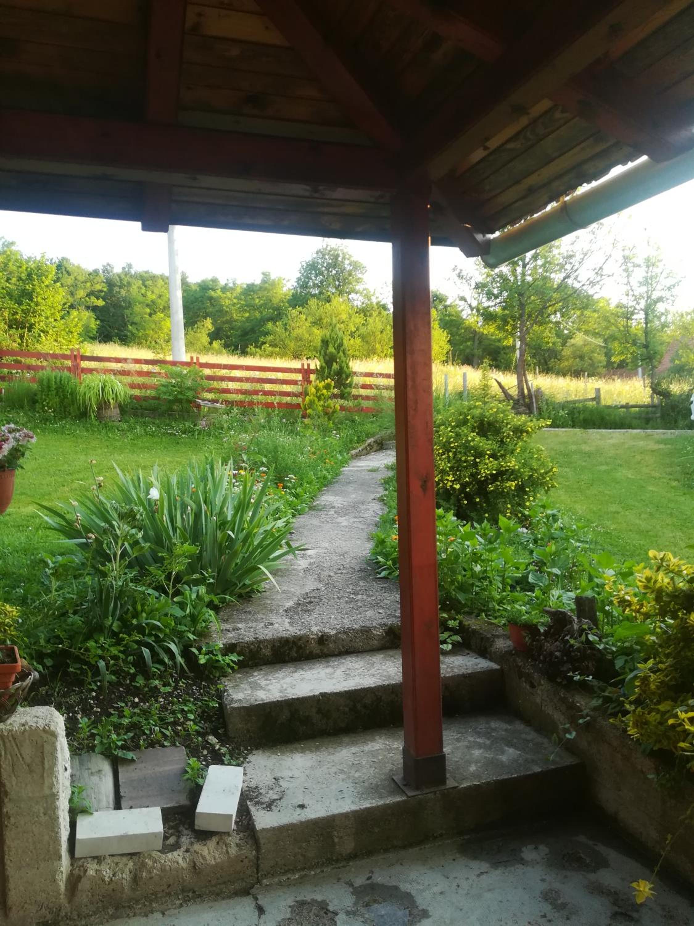 Photo 25