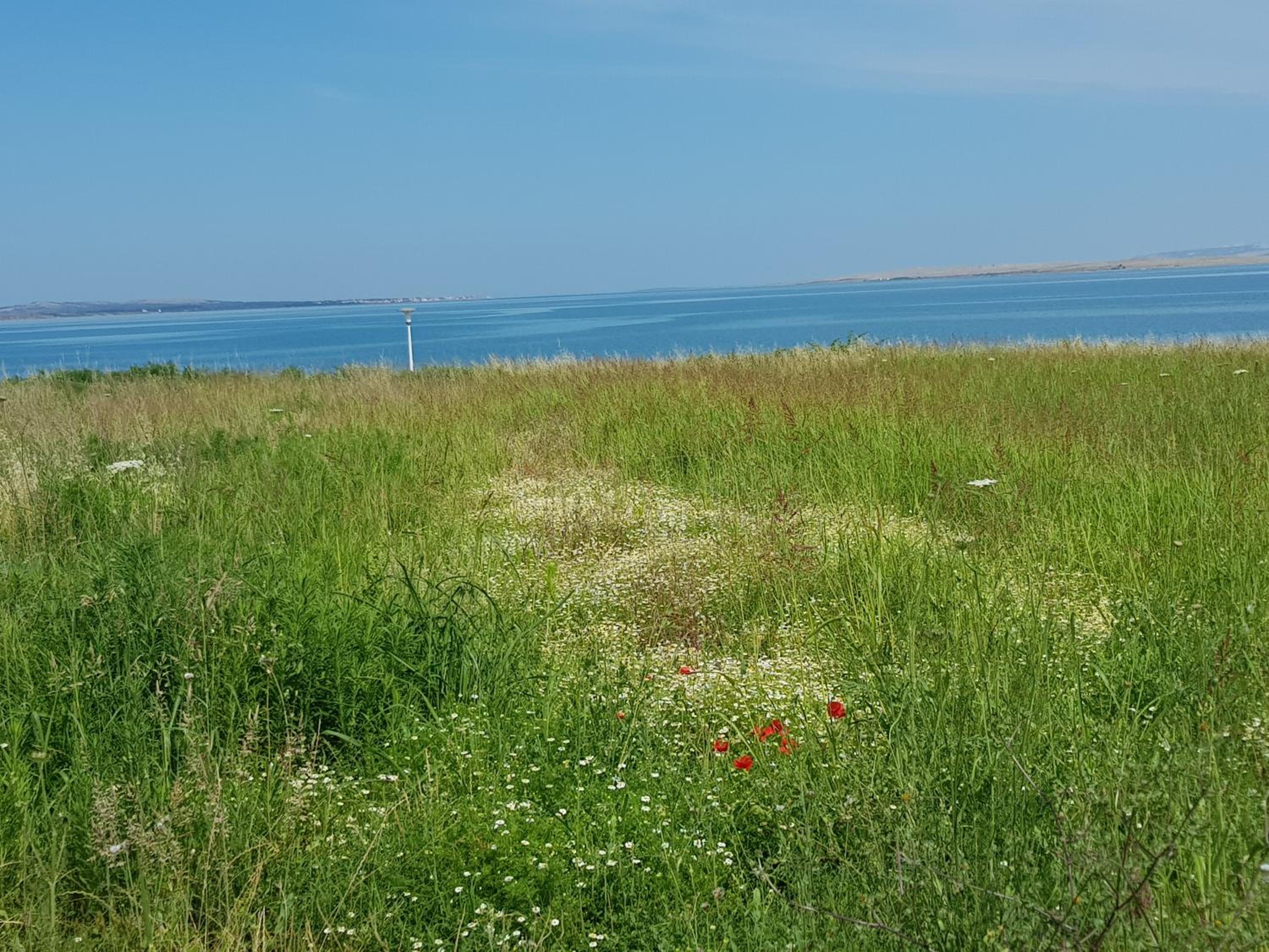 Apartments Zadar Nin Anton i Martina