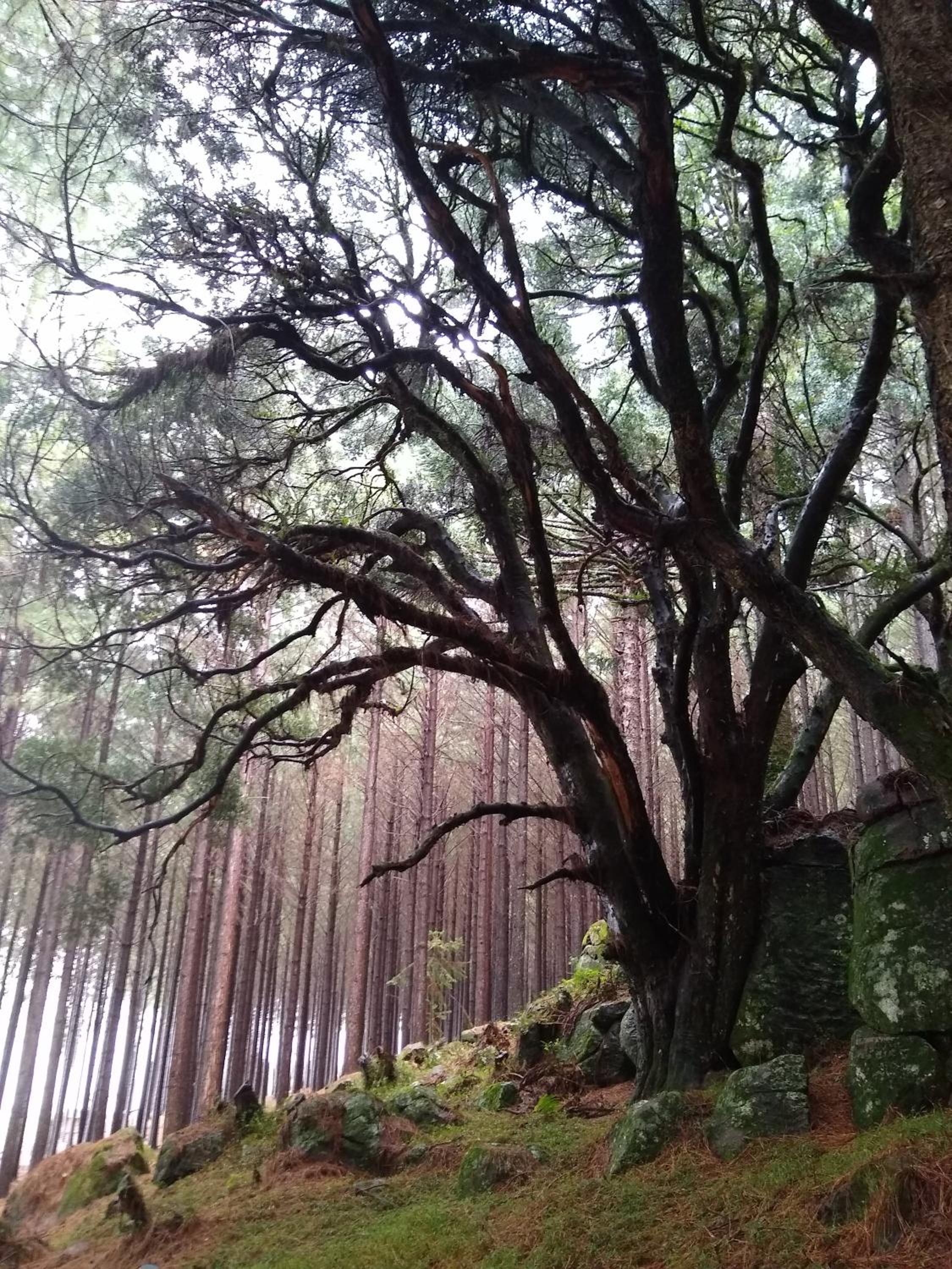 Tedesco Eco Park