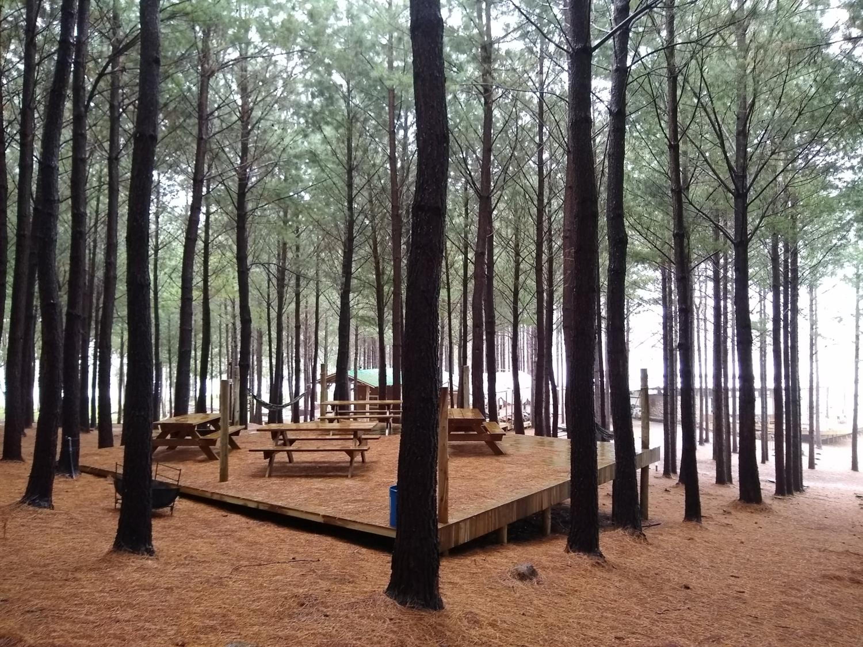 Tedesco Eco Park