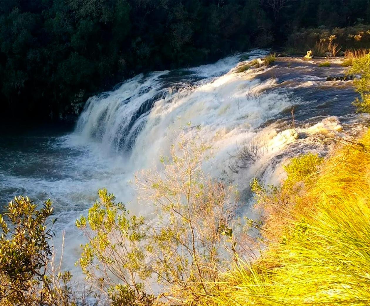Tedesco Eco Park