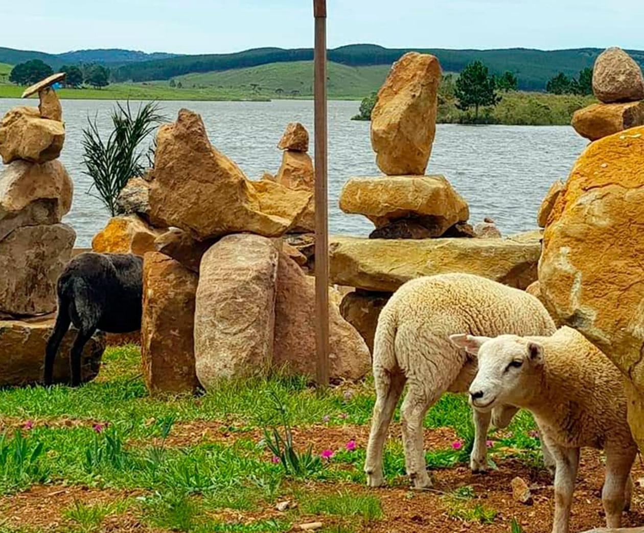 Tedesco Eco Park