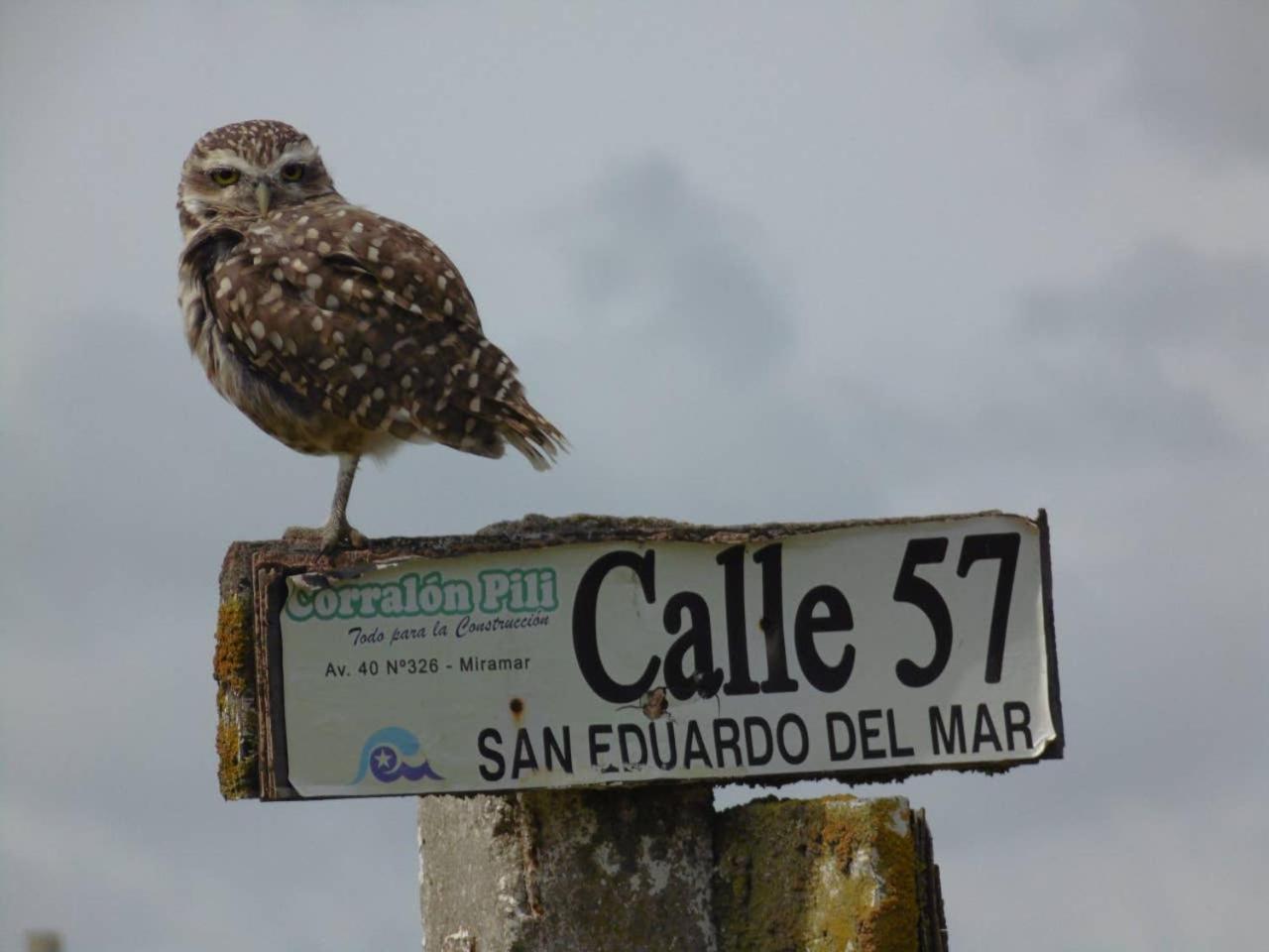 Alma Cabaña de Mar