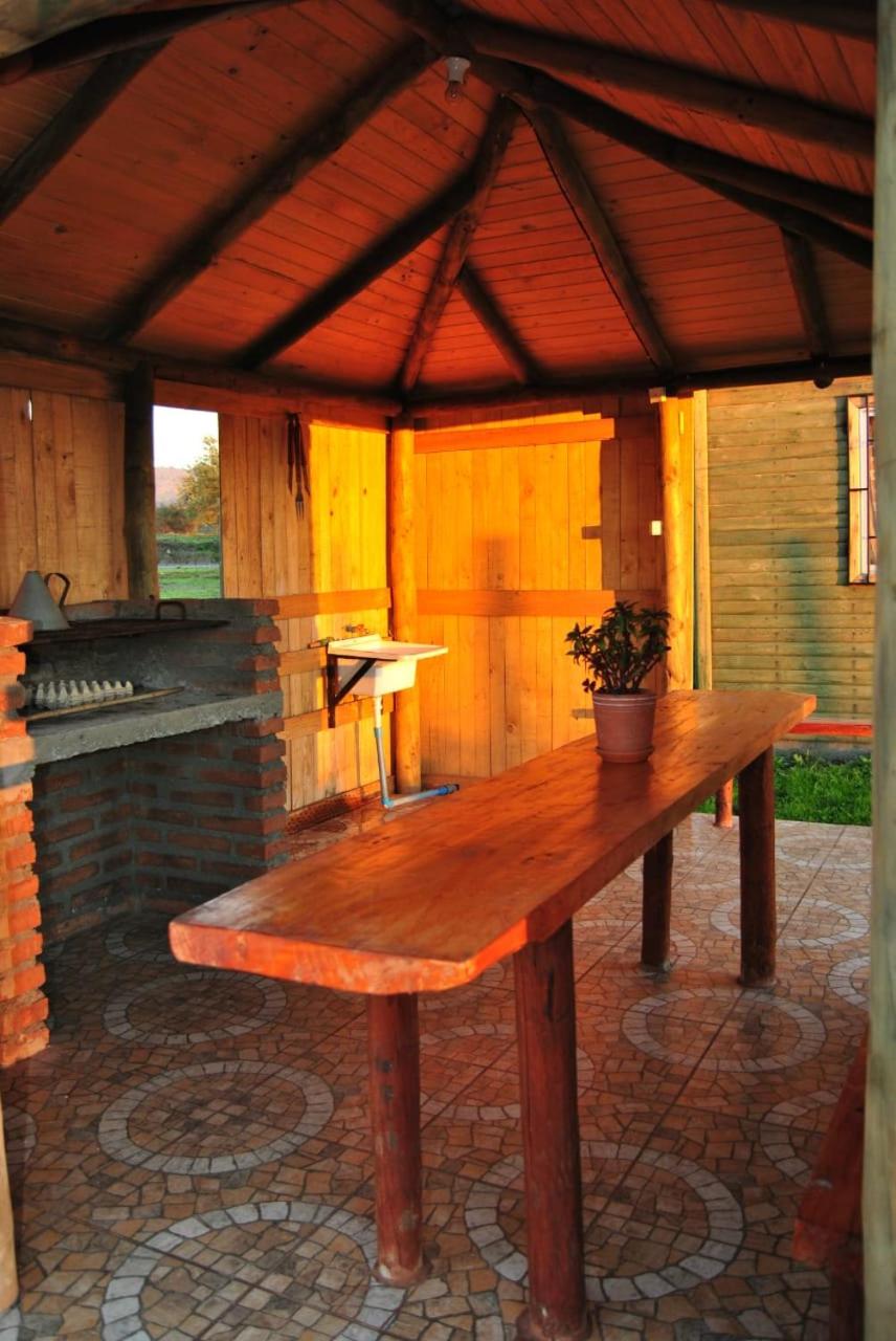 Cabañas Alfa Colbun Machicura