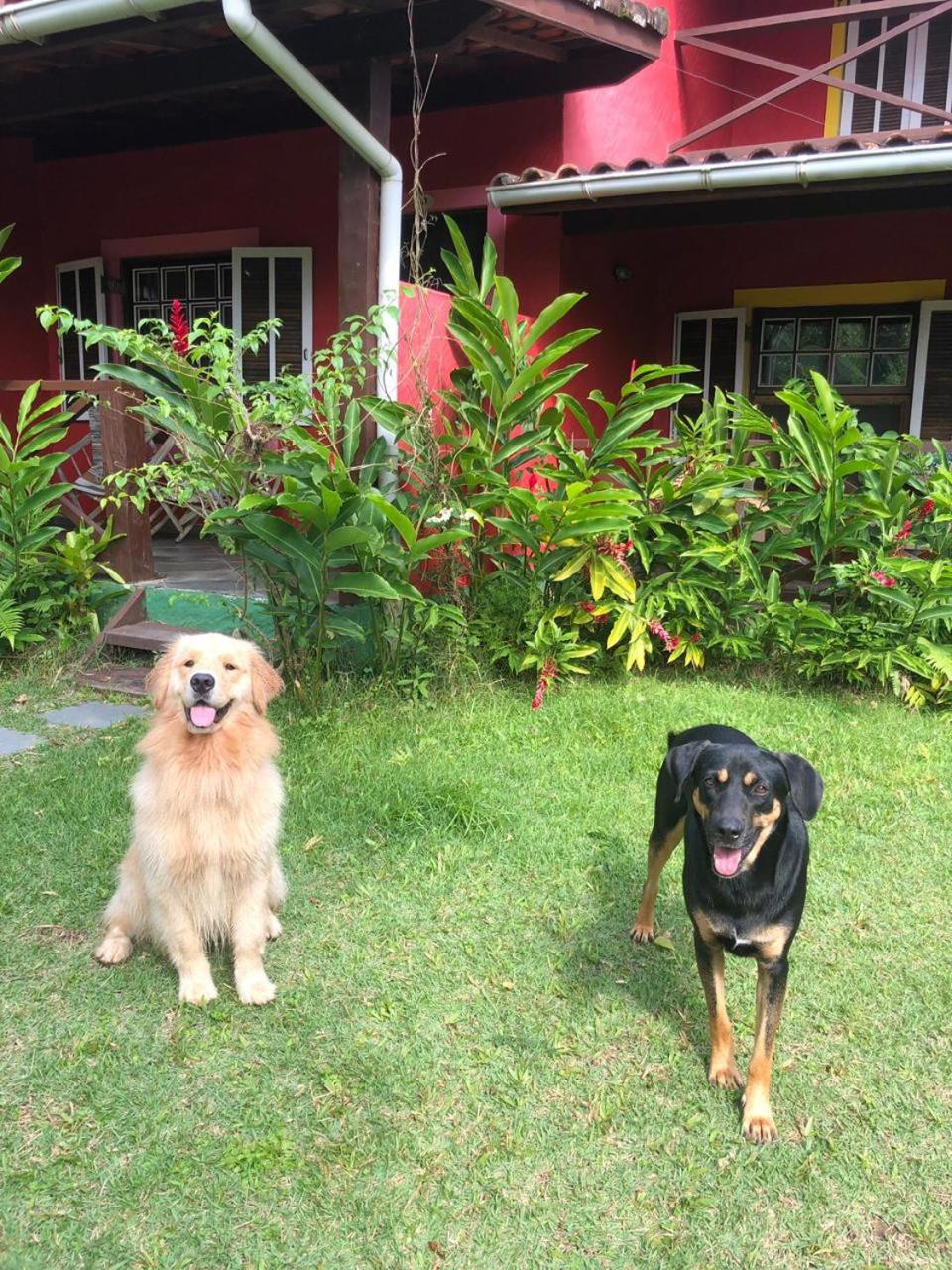 Pousada Portal do Cacau-Petfriendly