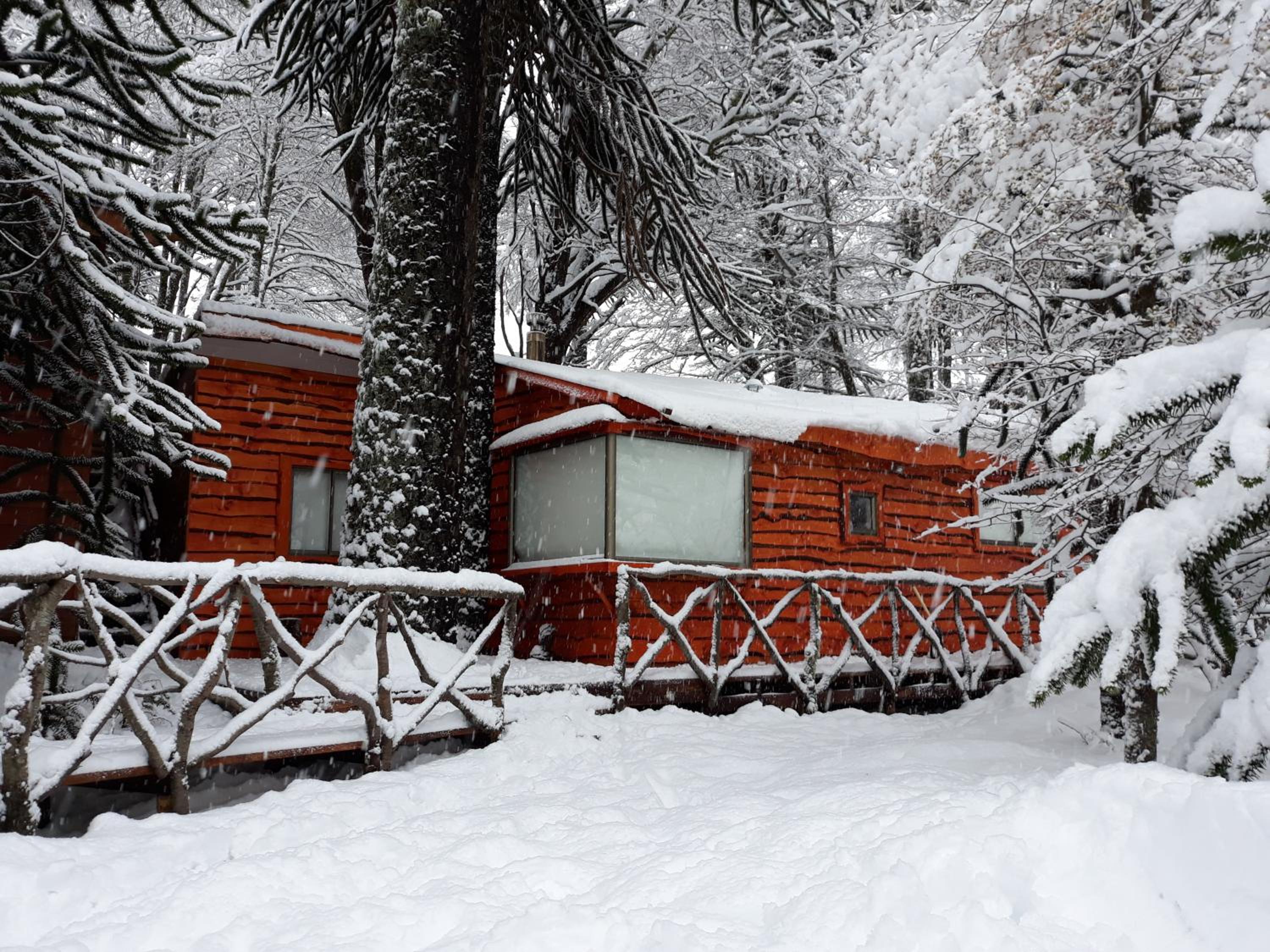 Cabañas Pukem