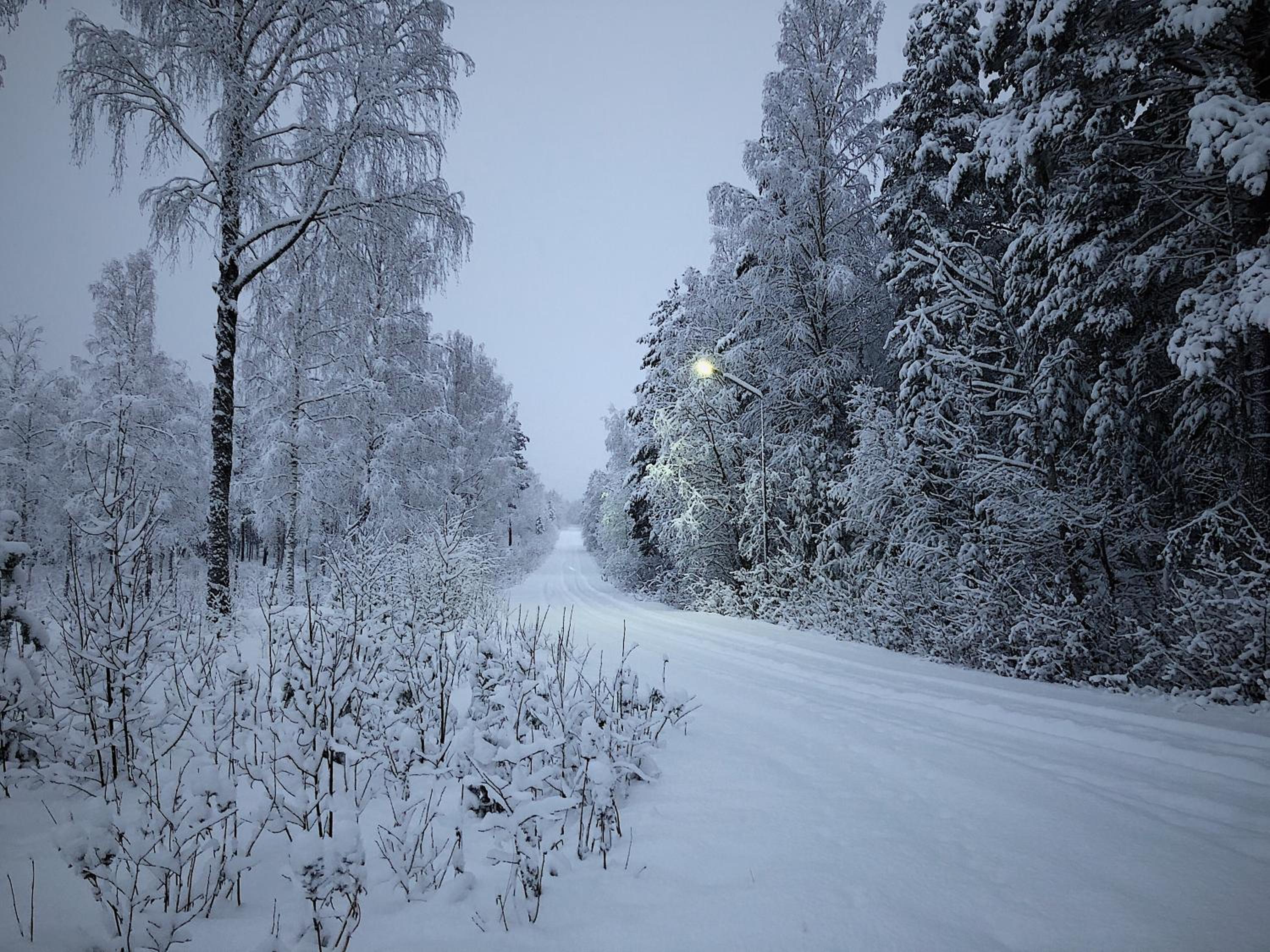 Photo 20