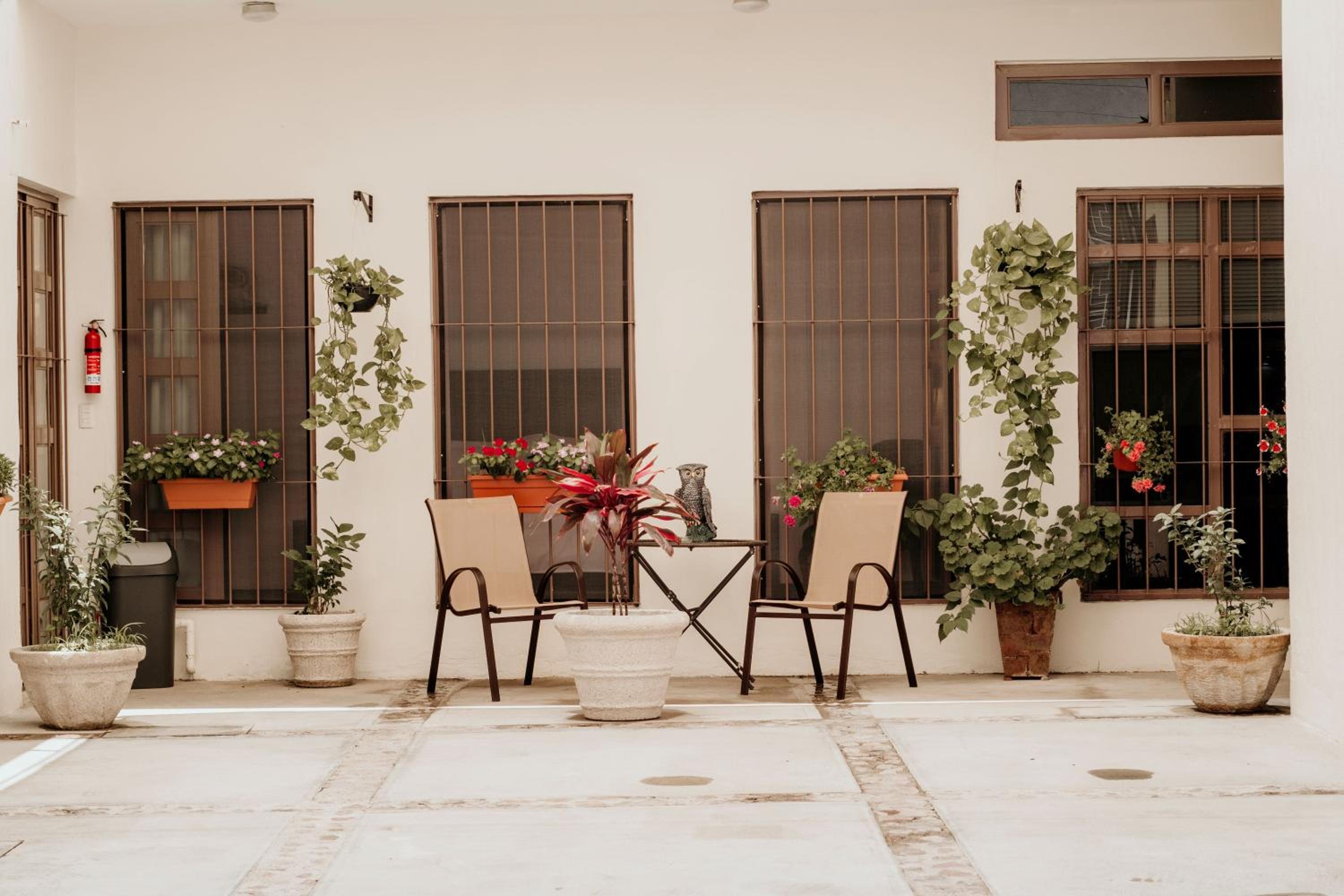 balance & terrace
