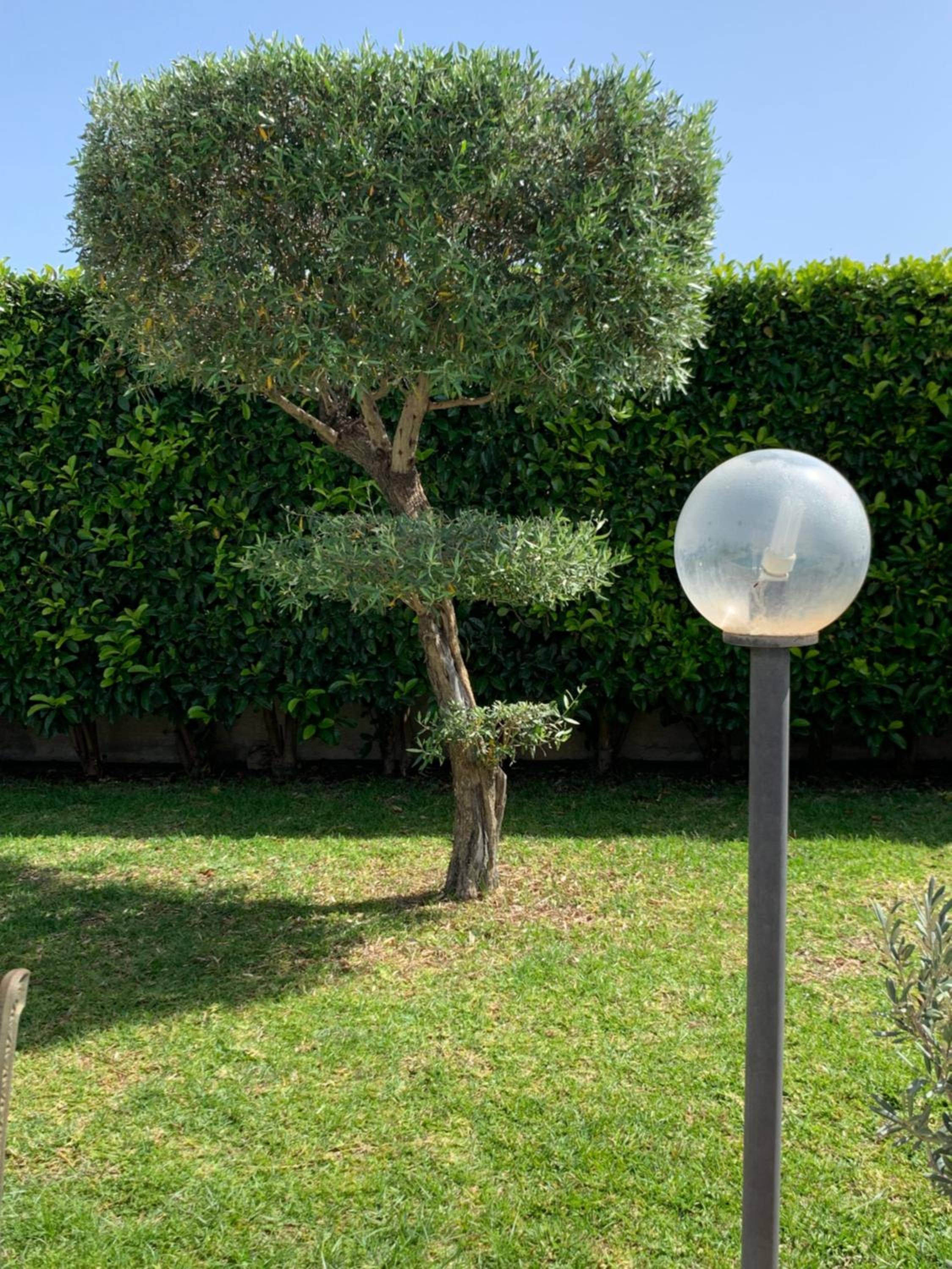B&b Vittoria House photo 5