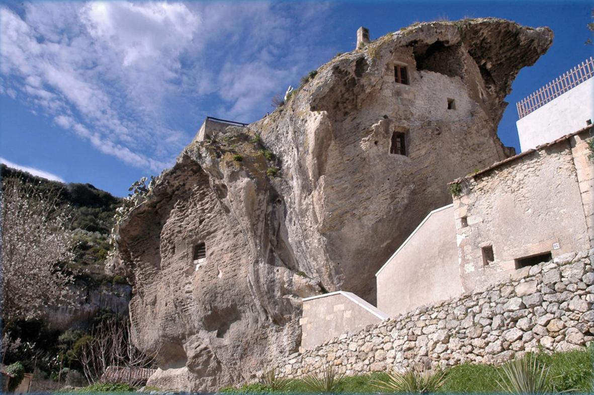 Photo 25