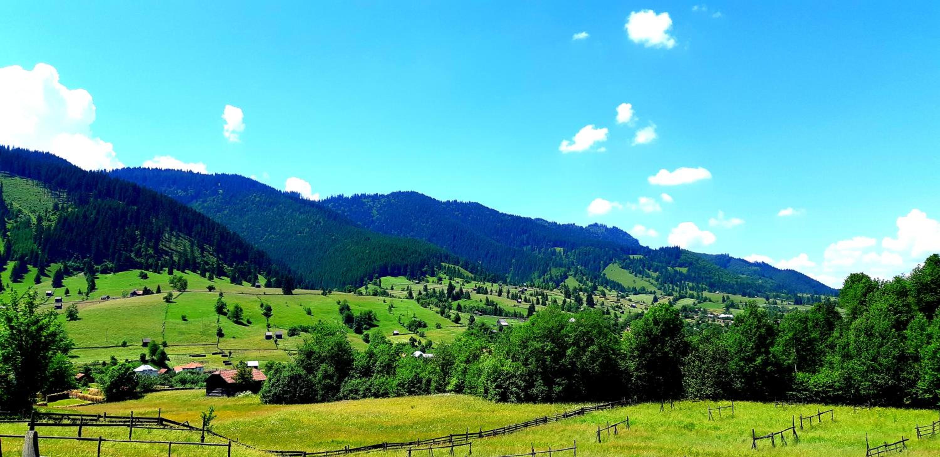 Pensiunea Vatra Bucovinei view 3