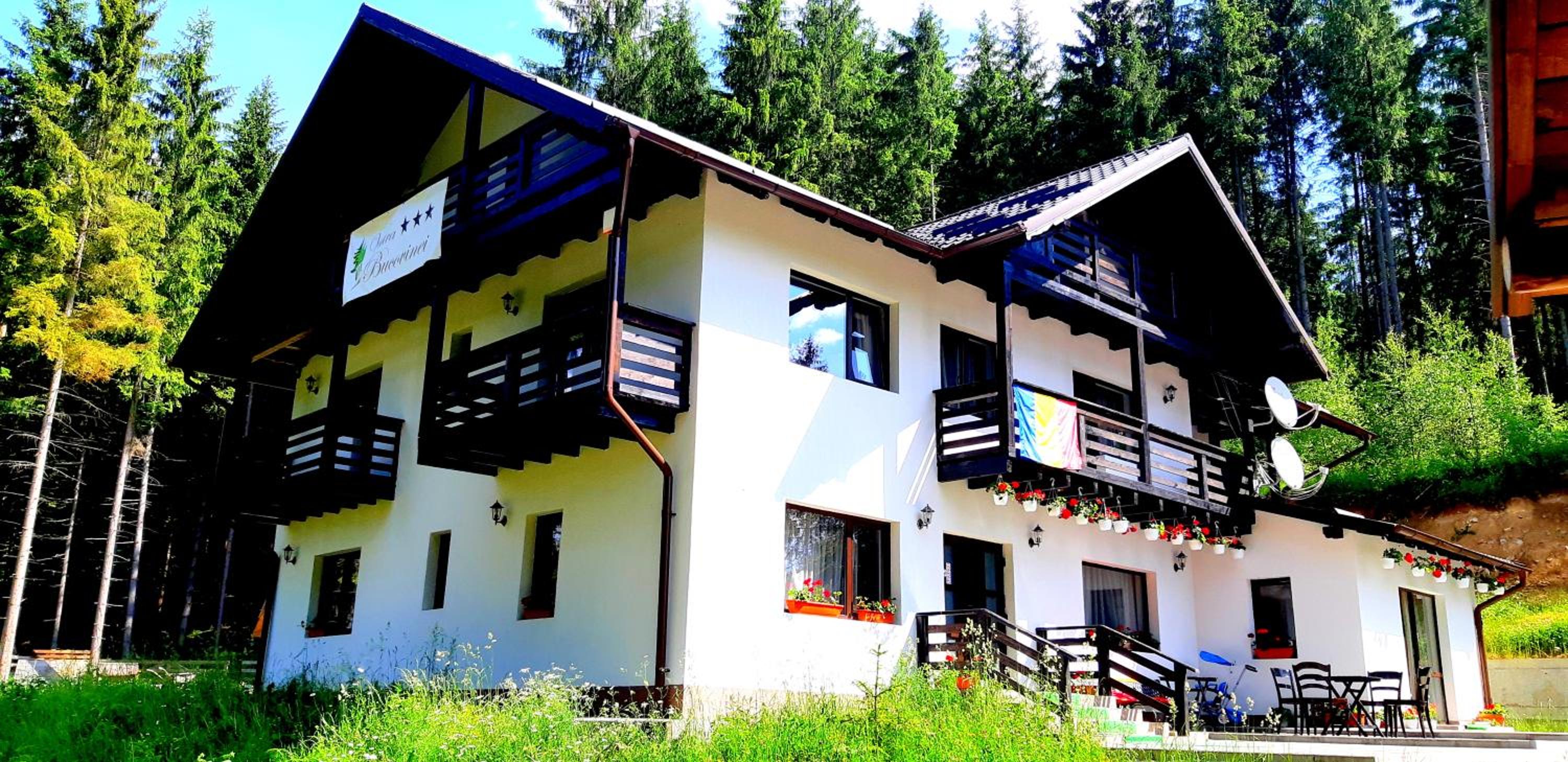 Pensiunea Vatra Bucovinei view 4