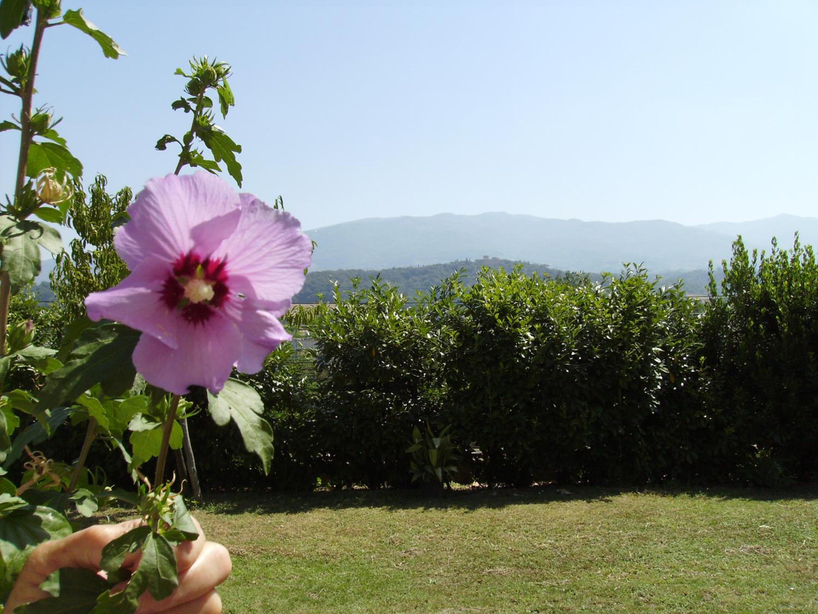 Agriturismo La Querce view 5