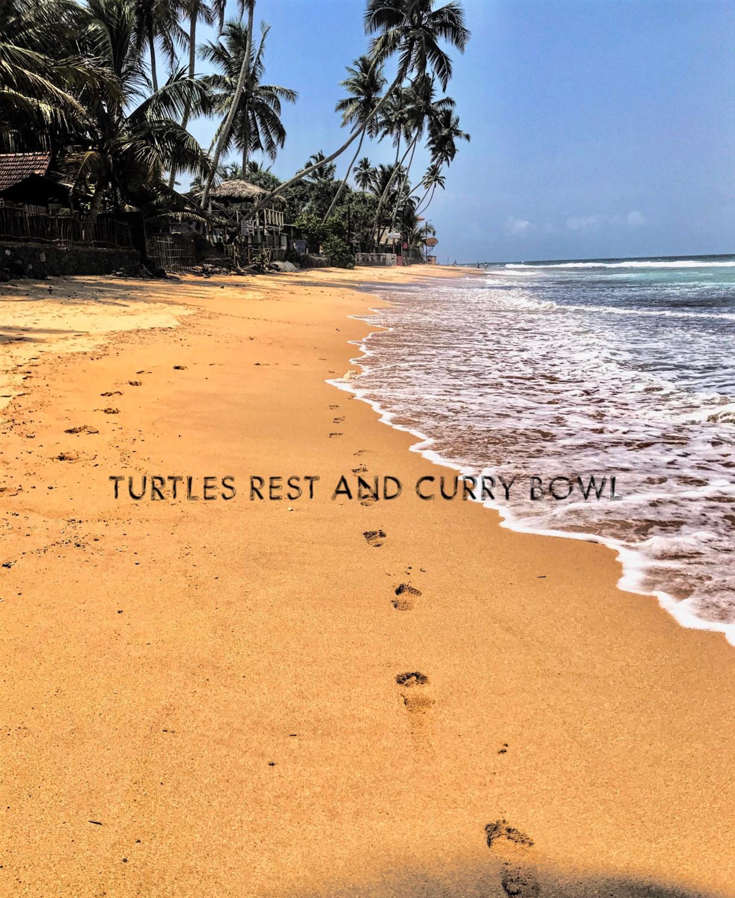 Curry Bowl Restaurant & Turtles Rest