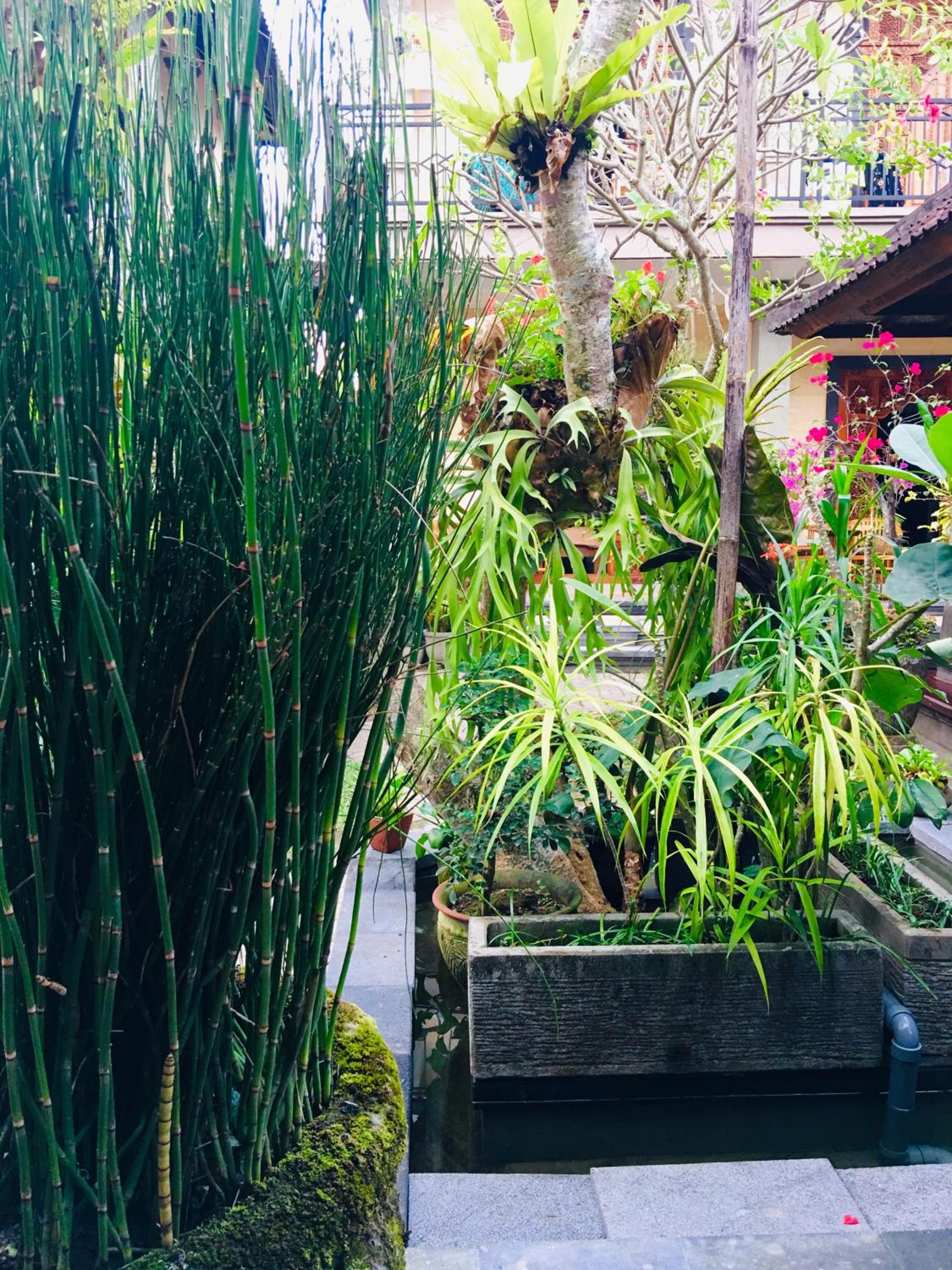 Wina Ubud B&B