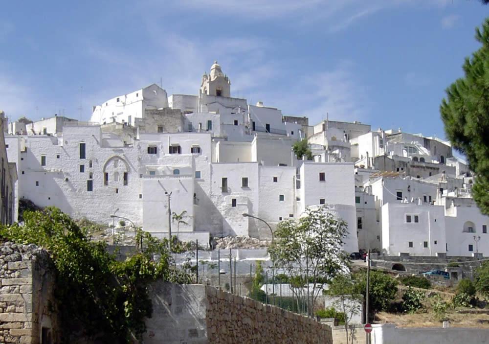 VILLA DALU not only Holidays photo 2