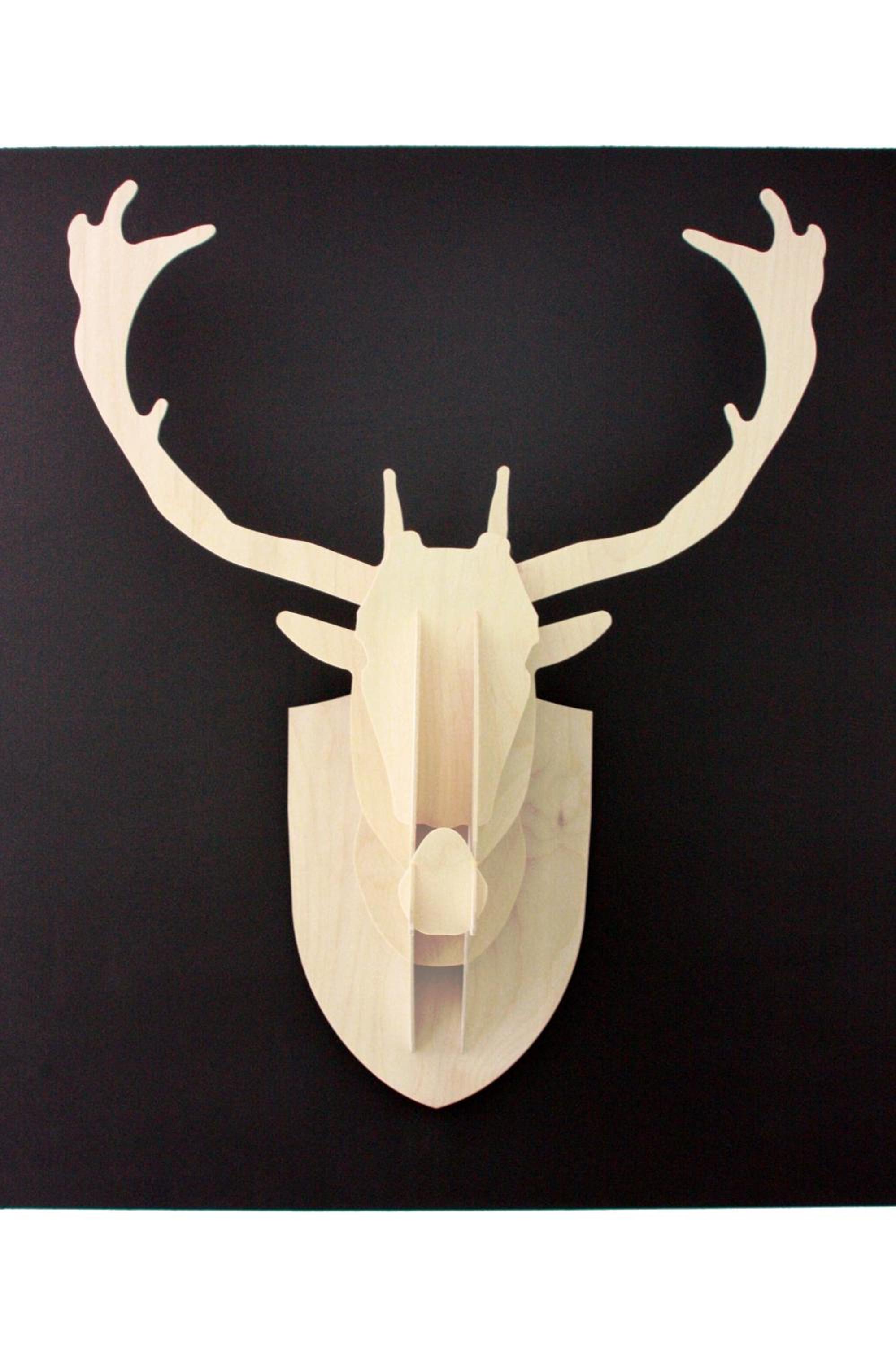 Le Repère du Cerf view 3