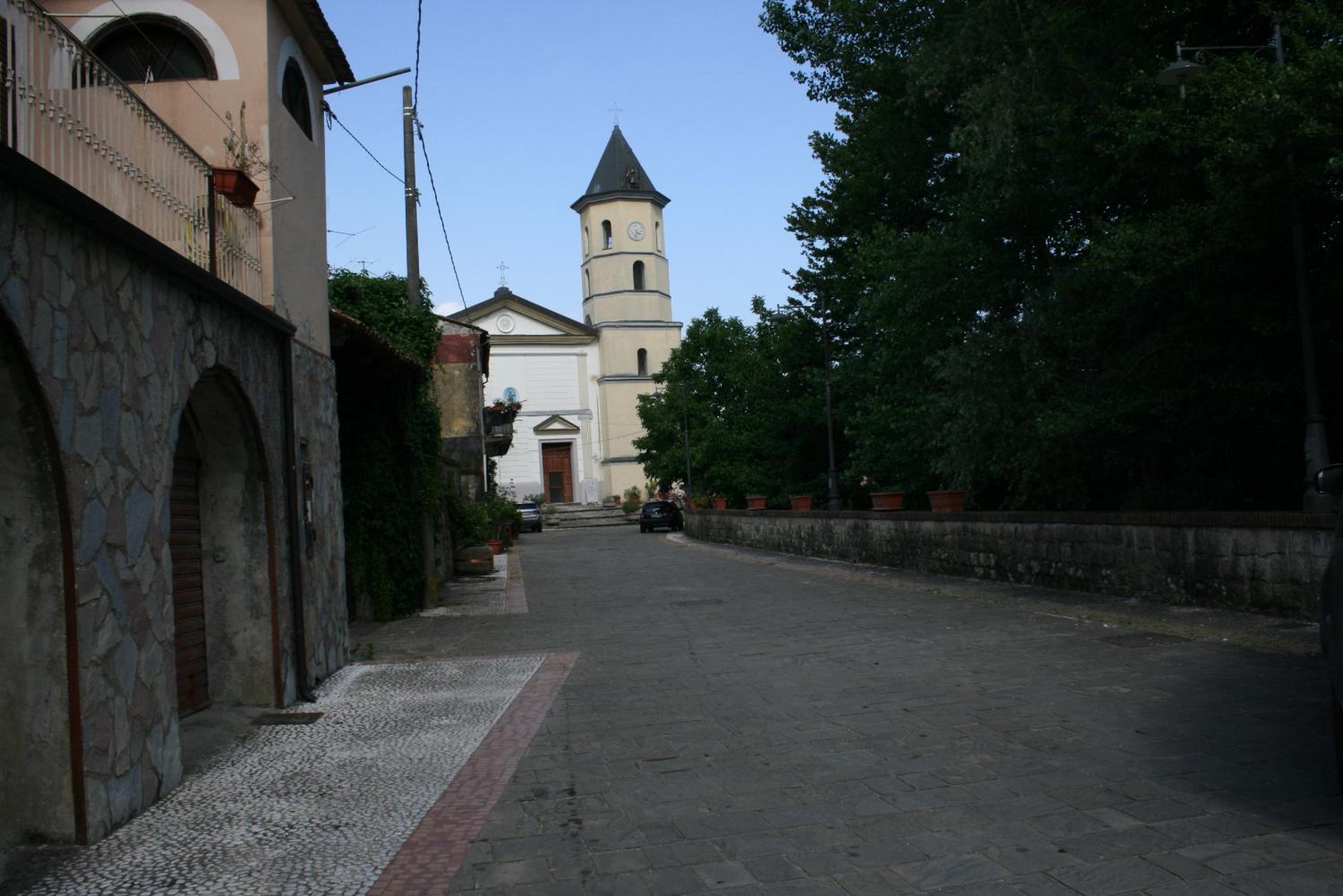 Photo 41