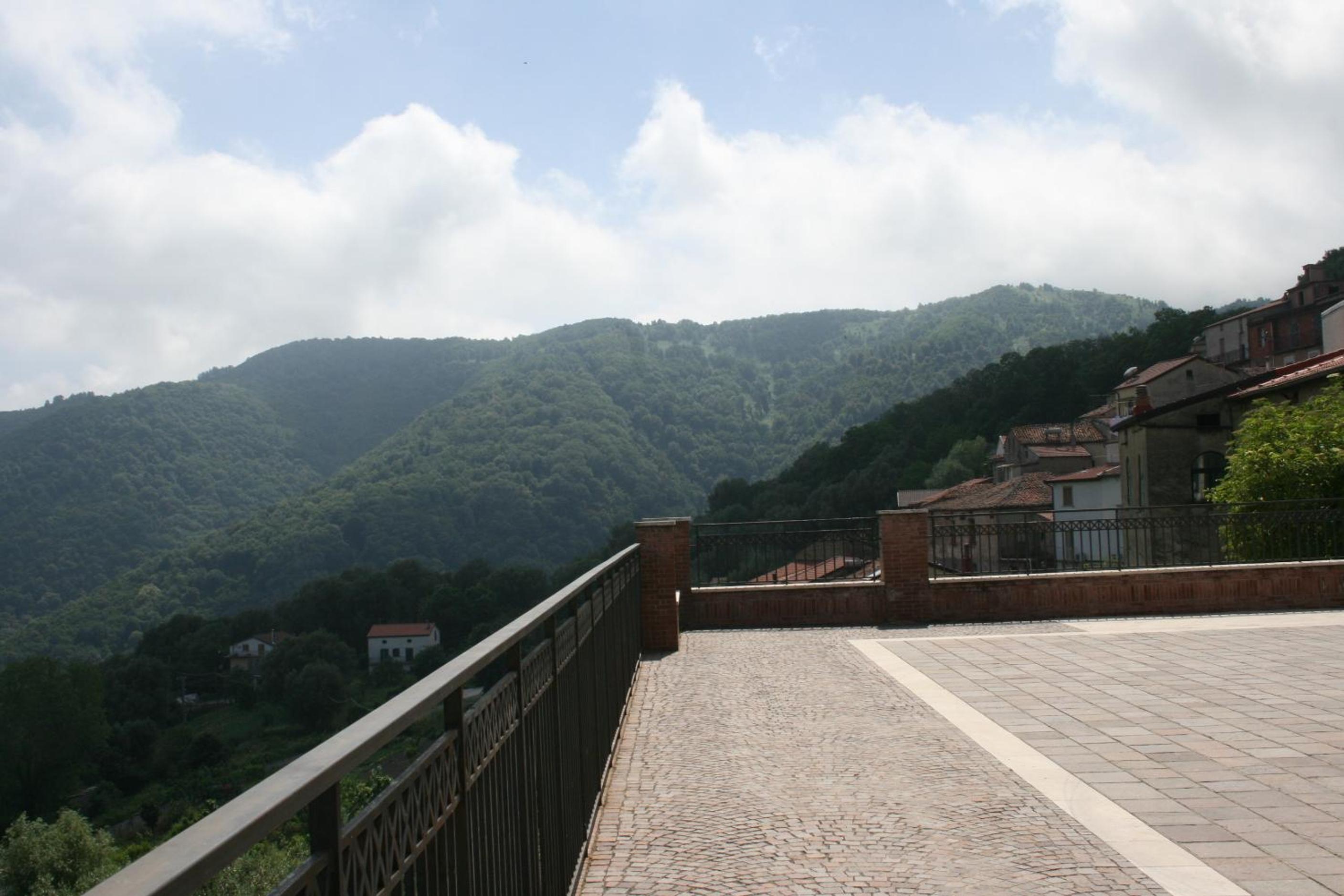 Photo 42