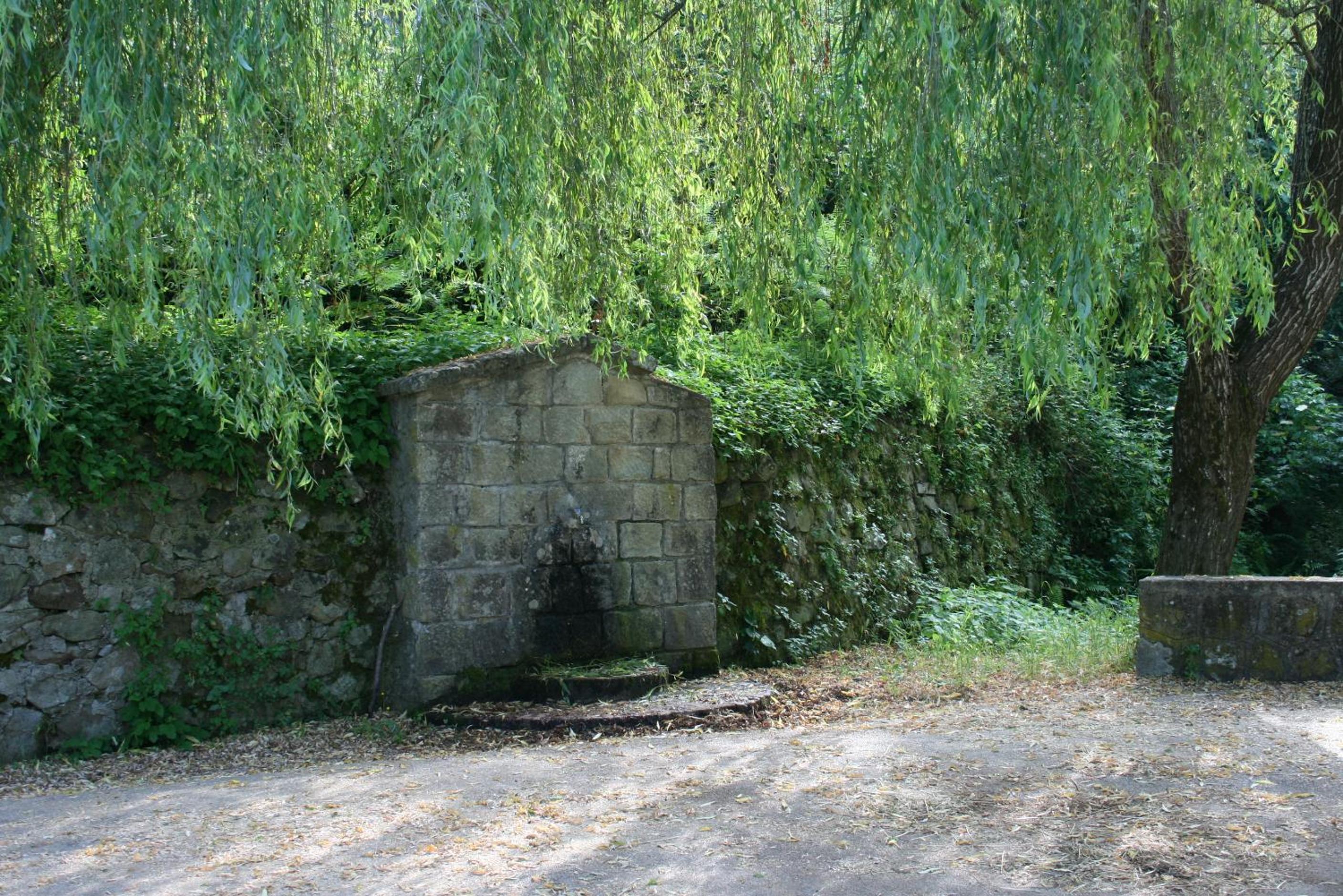 Photo 38
