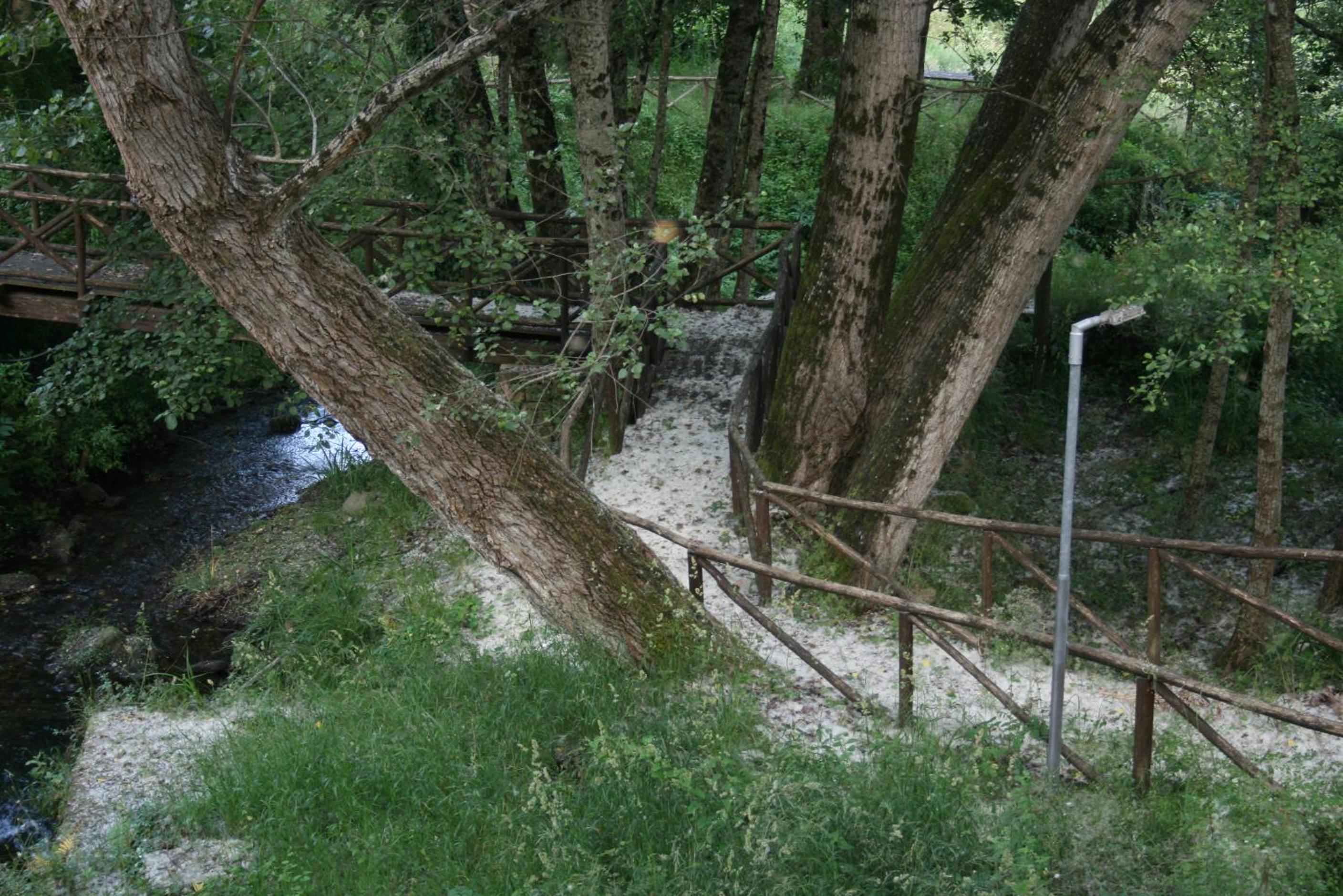 Photo 37
