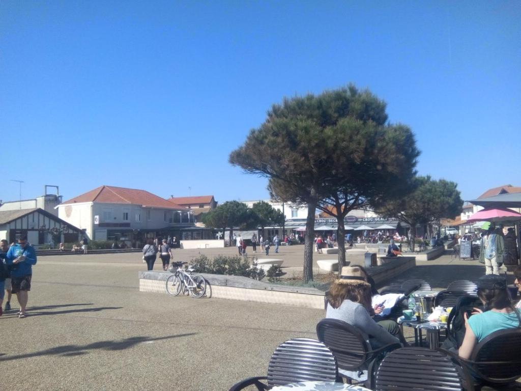 Location Landes Mimizan Plage view 2