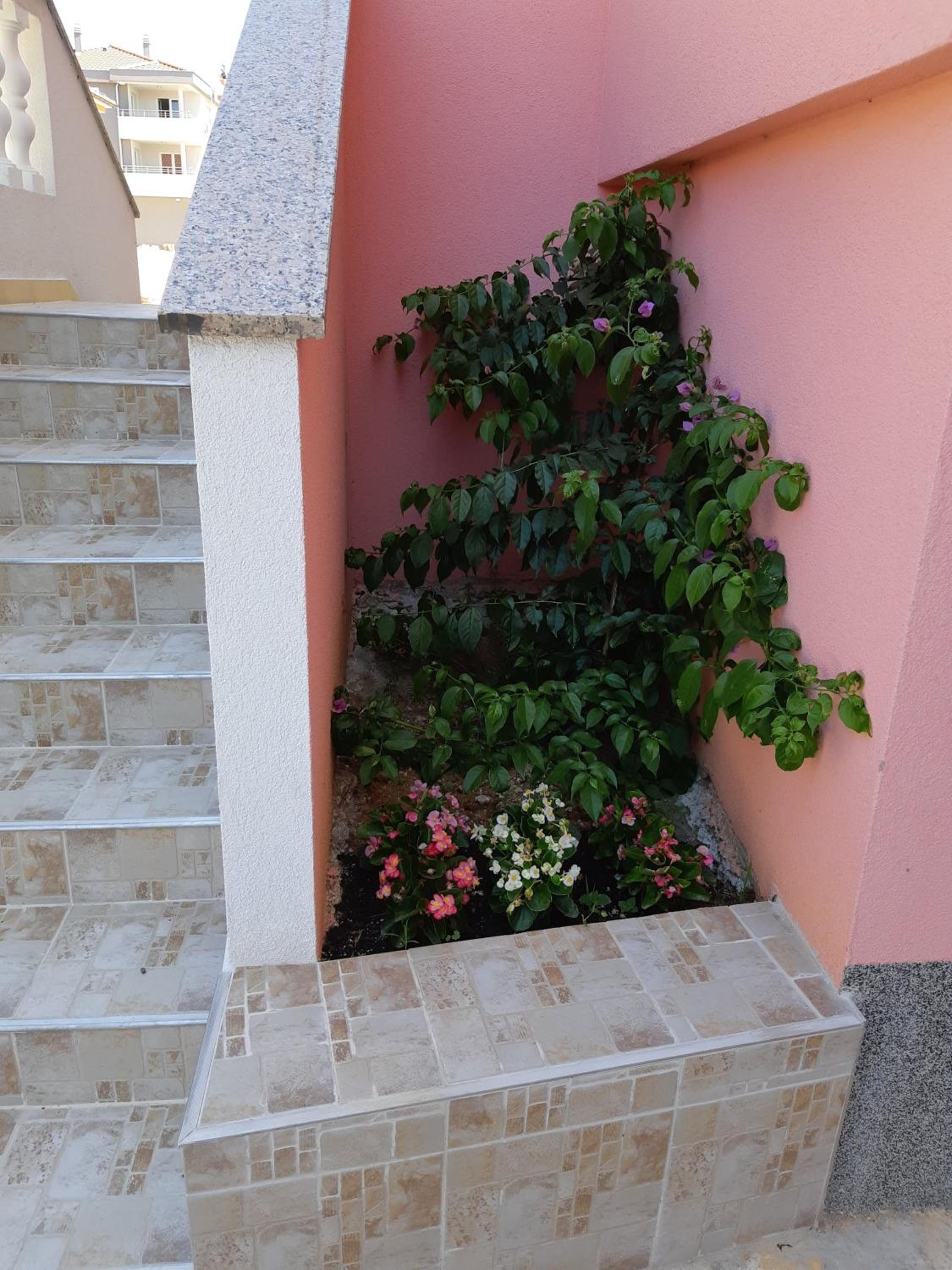 Apartman Orange