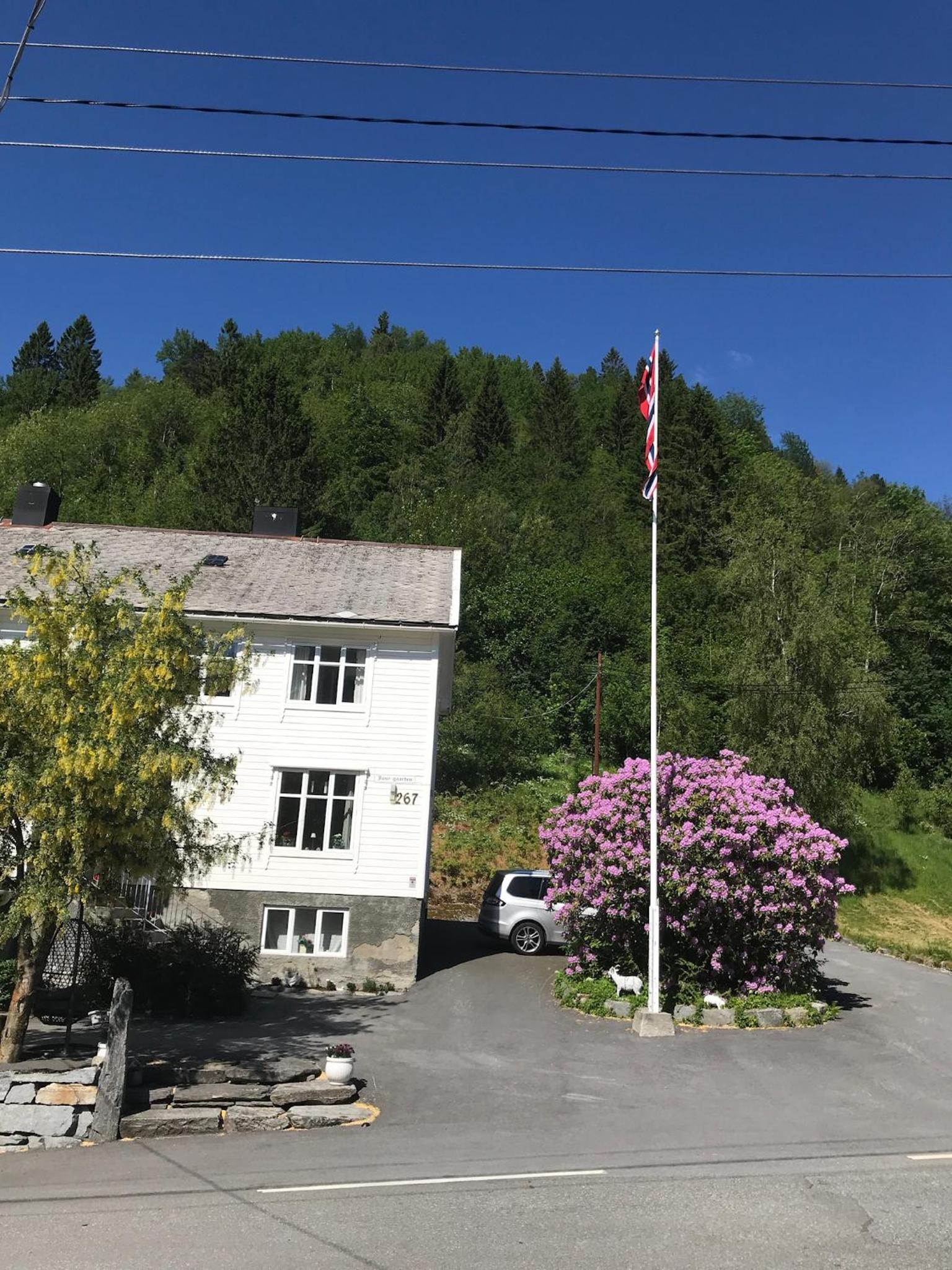Photo 25