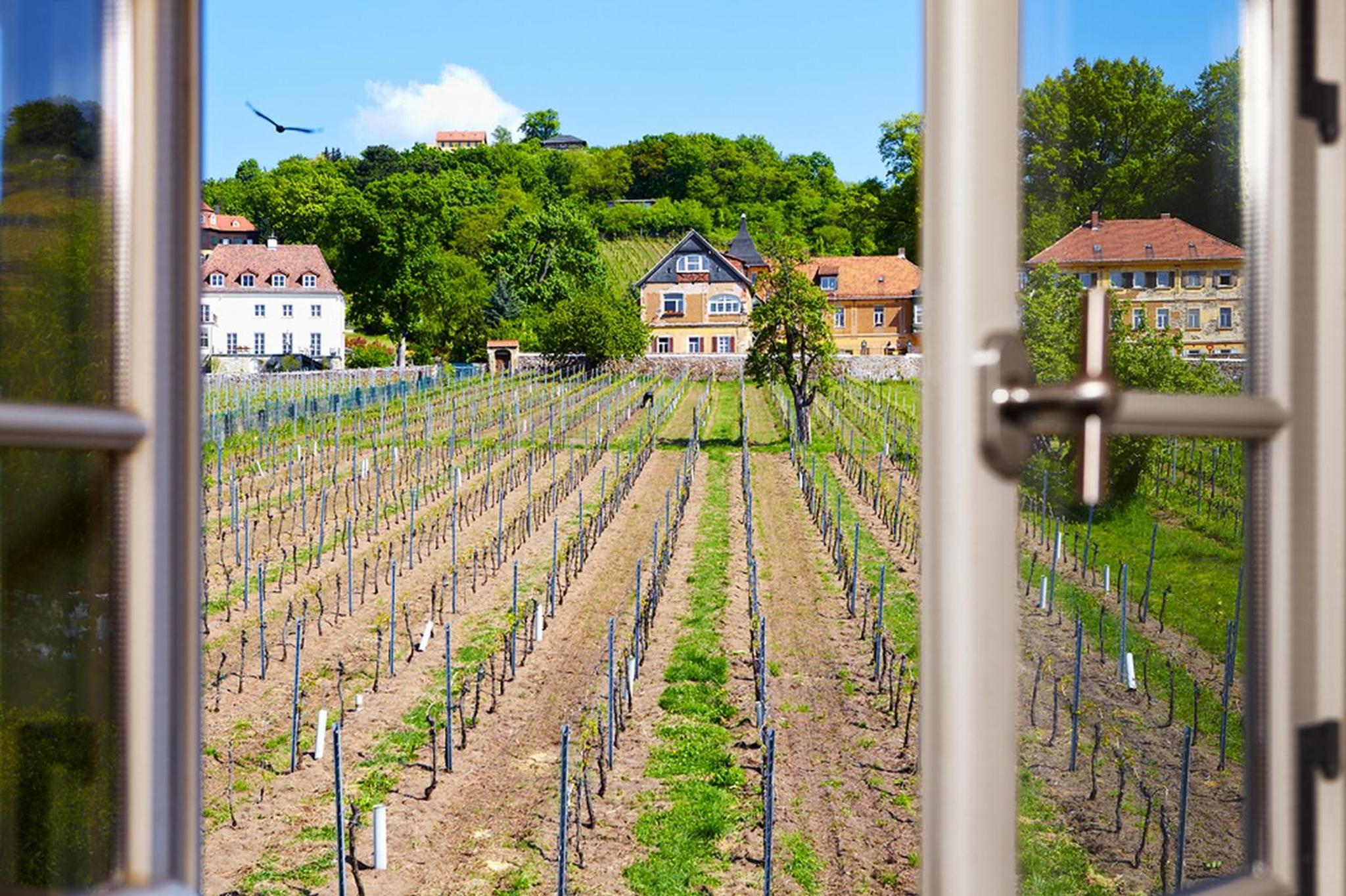 Weingut Haus Steinbach
