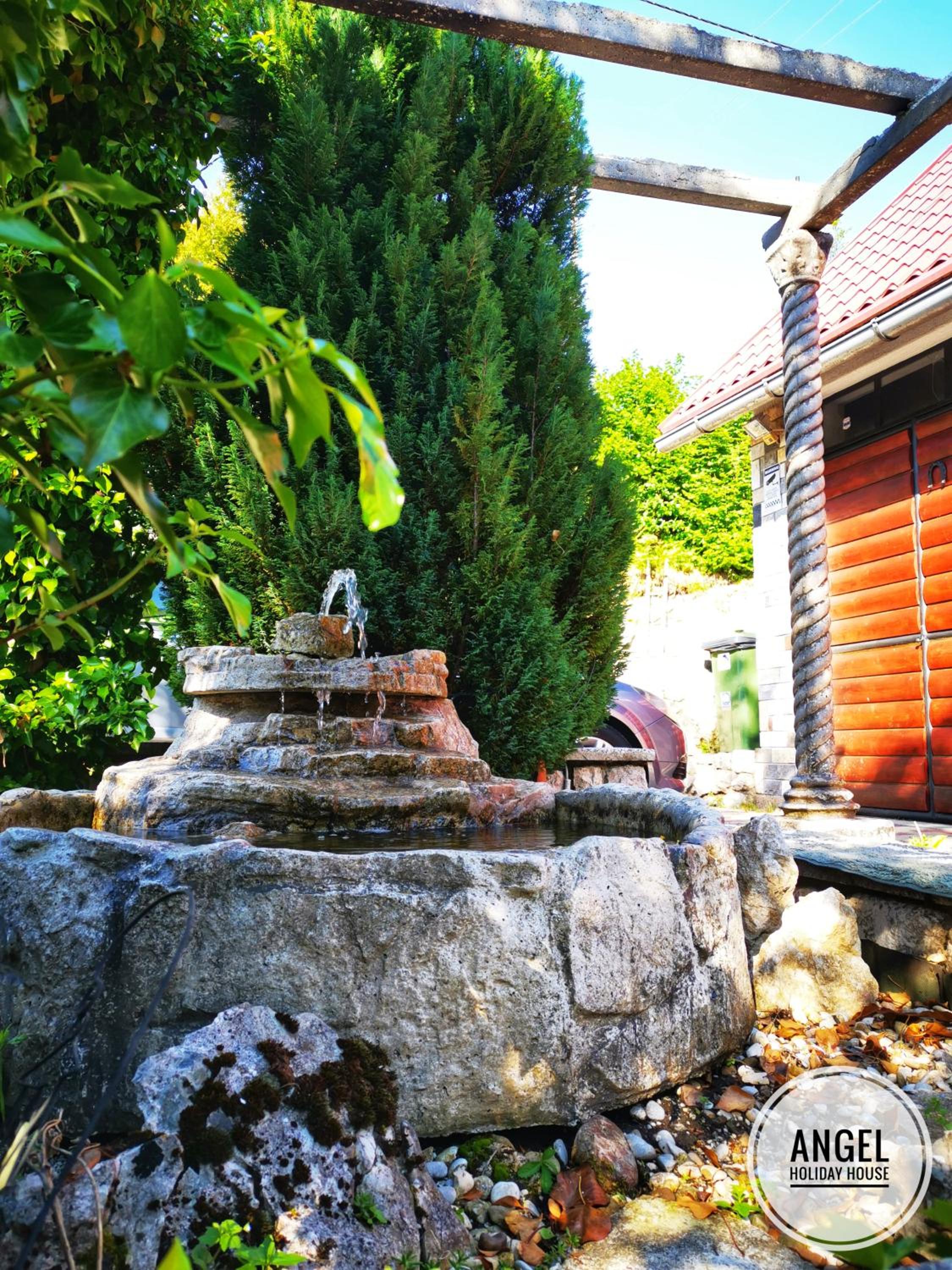 Photo 54