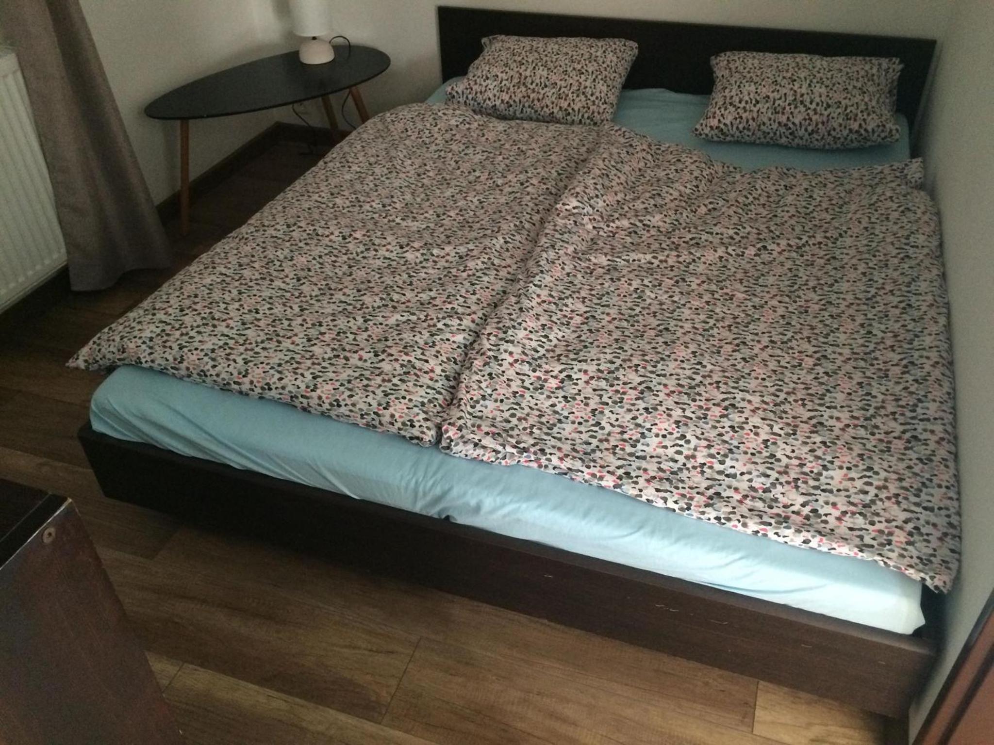 Apartmán Židovice view 5