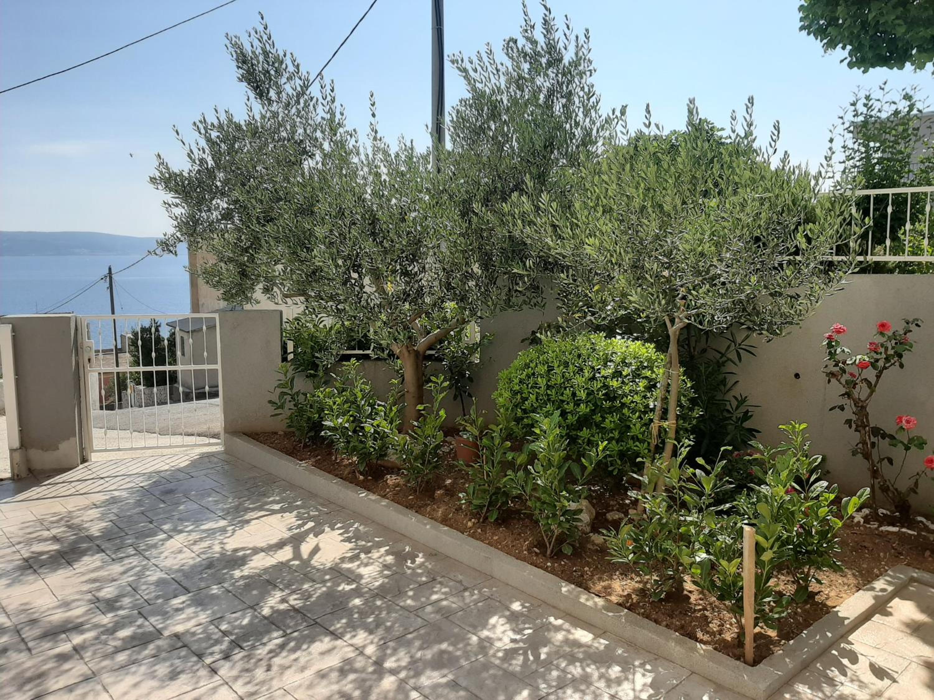 Apartment Ante view 5